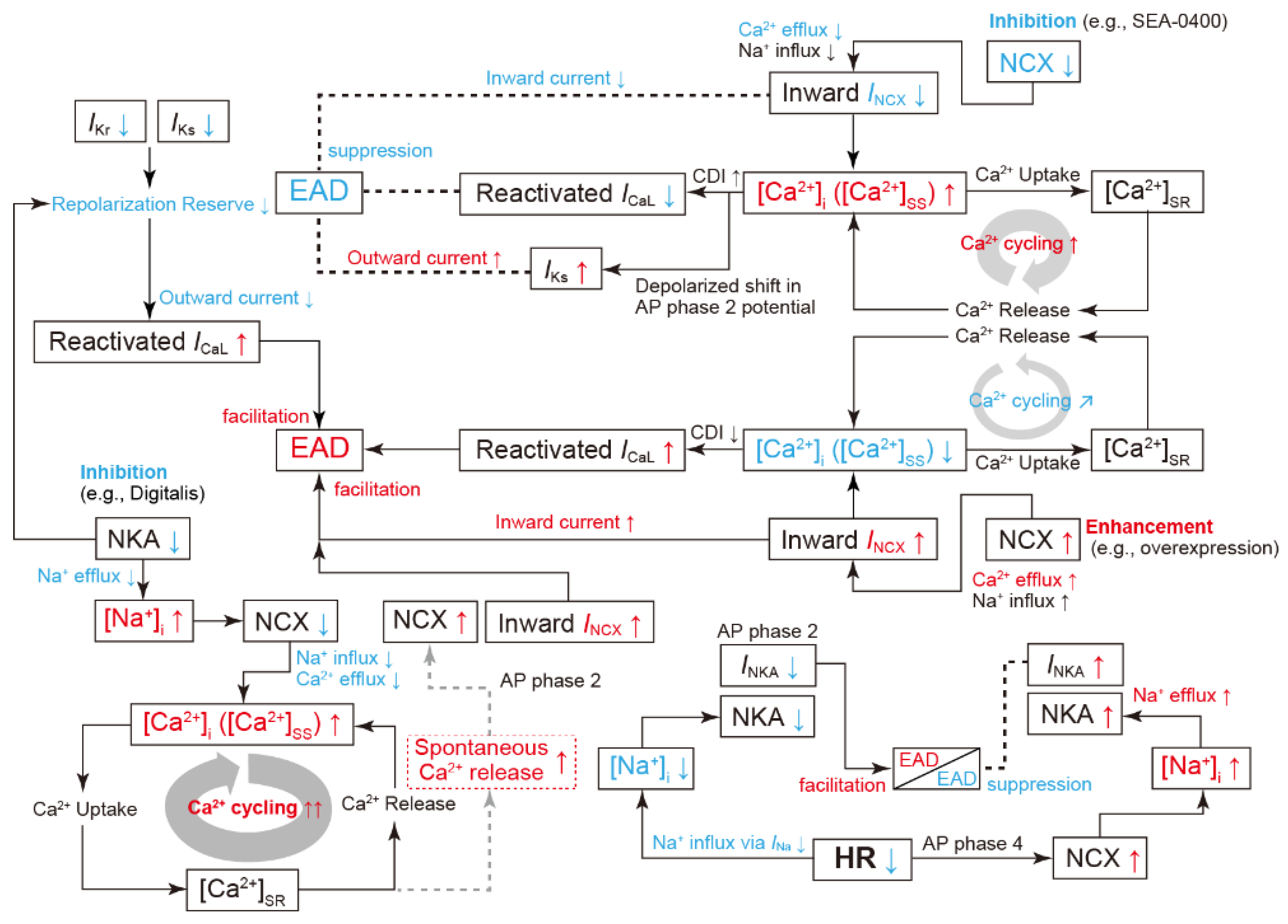 Biomolecules 12 00459 g003 Biomolecules 12 00459 g003