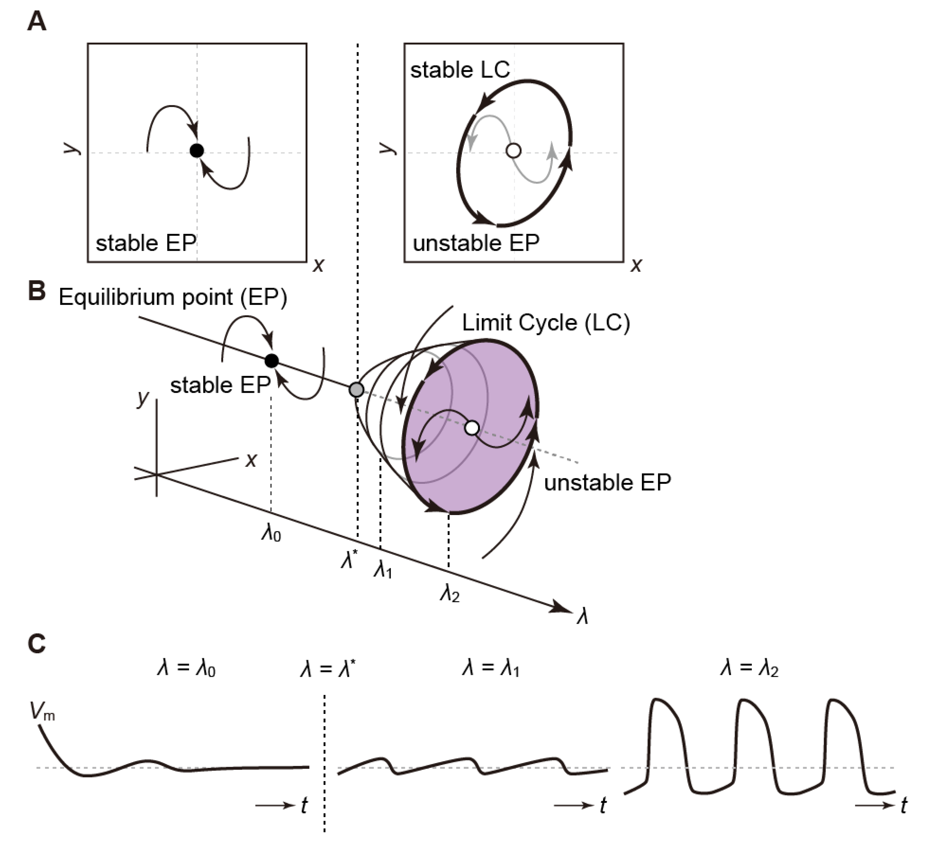 Biomolecules 12 00459 g006 Biomolecules 12 00459 g006