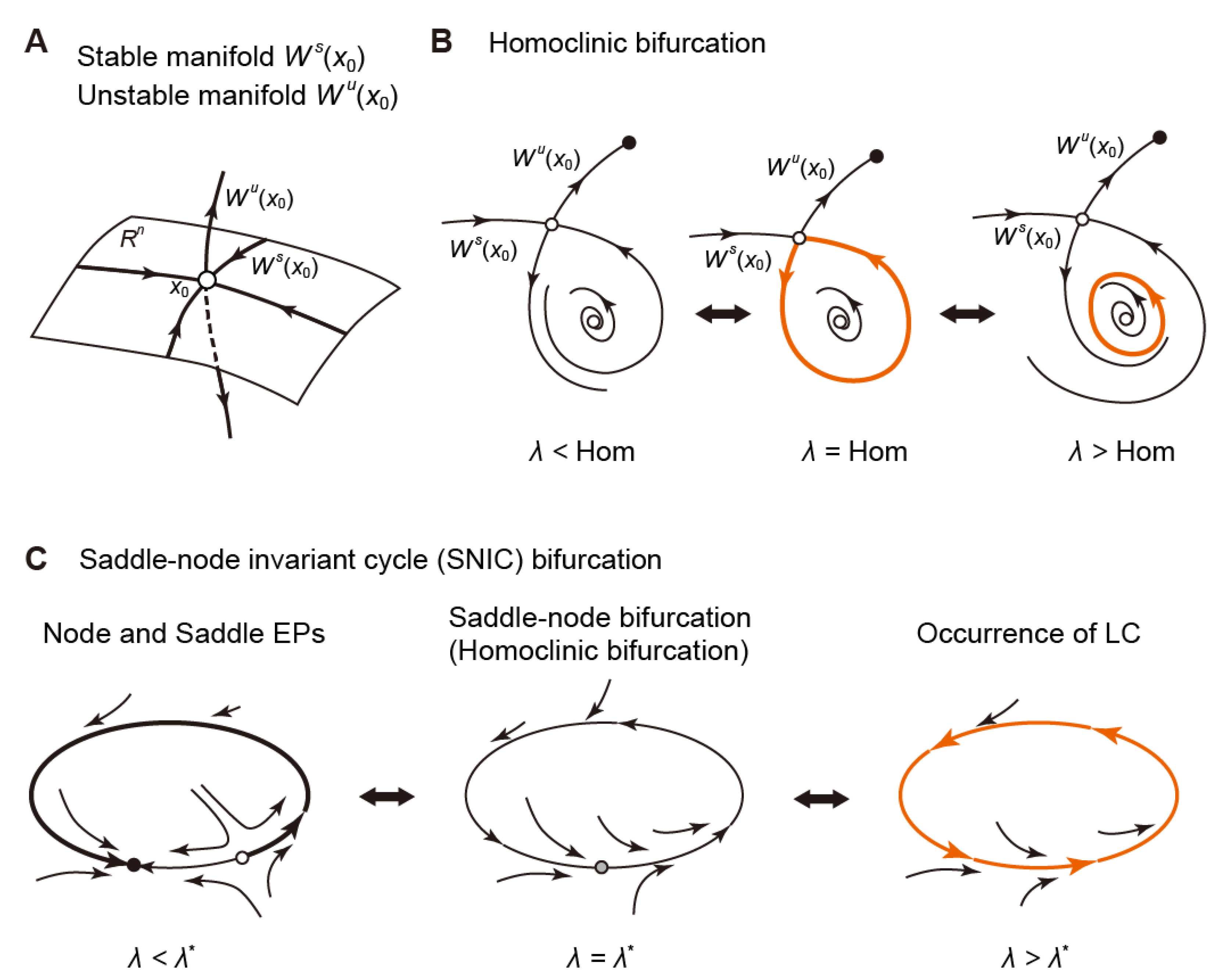 Biomolecules 12 00459 g008 Biomolecules 12 00459 g008