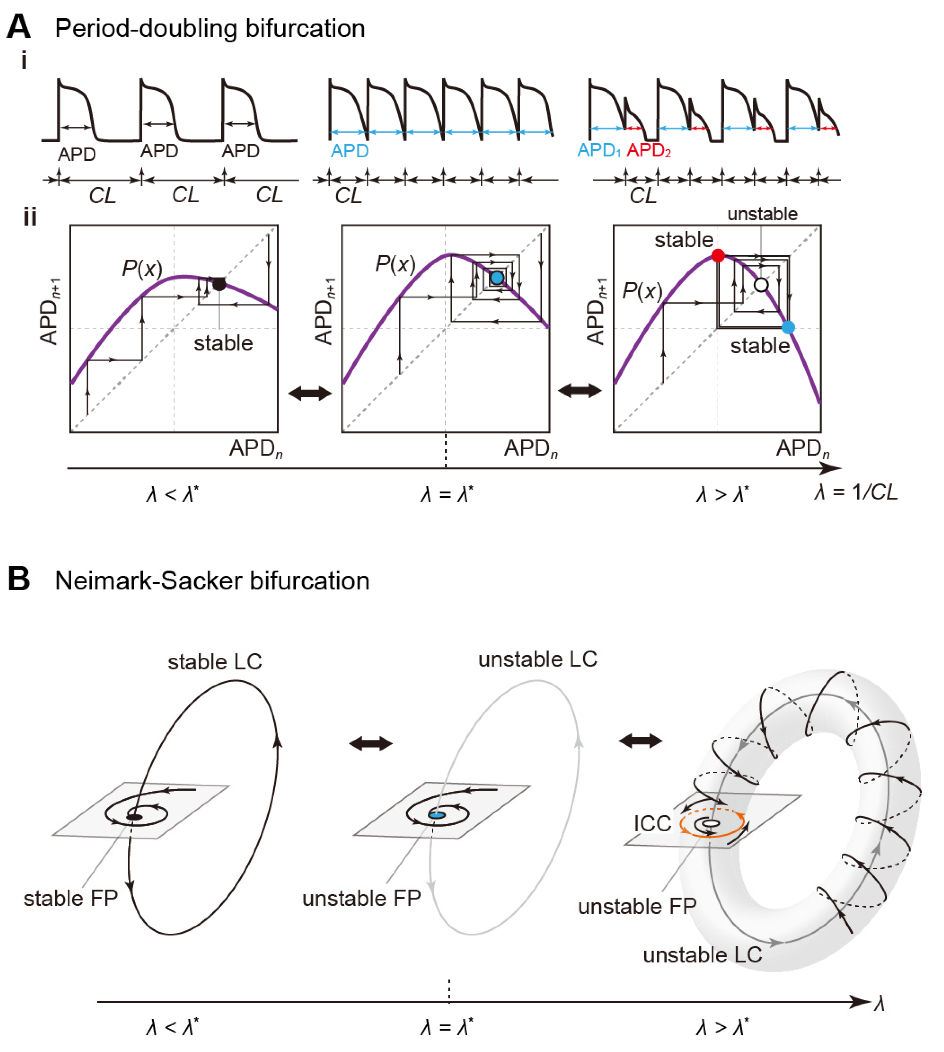 Biomolecules 12 00459 g009 Biomolecules 12 00459 g009