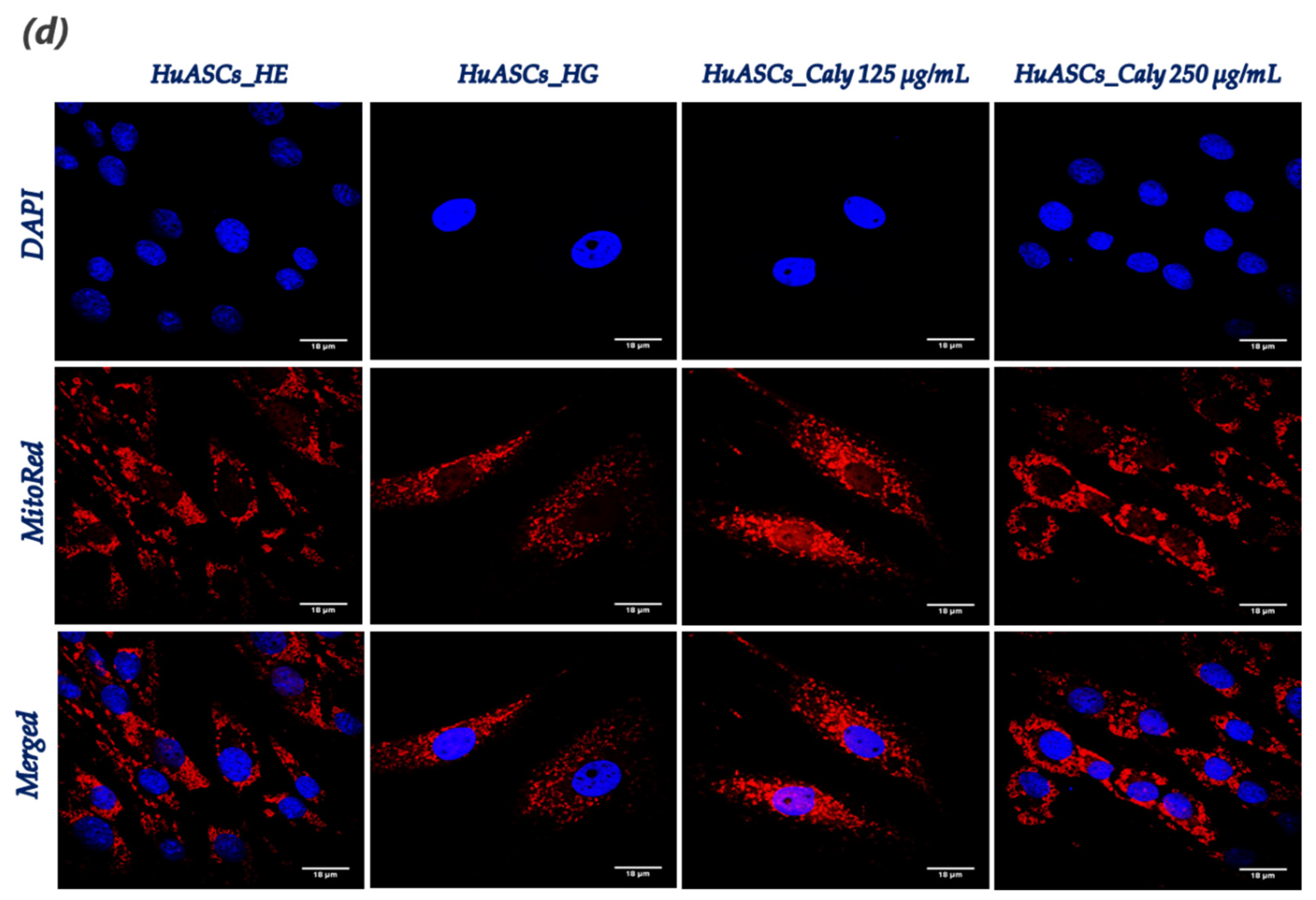 Biomolecules 12 00460 g005b 550
