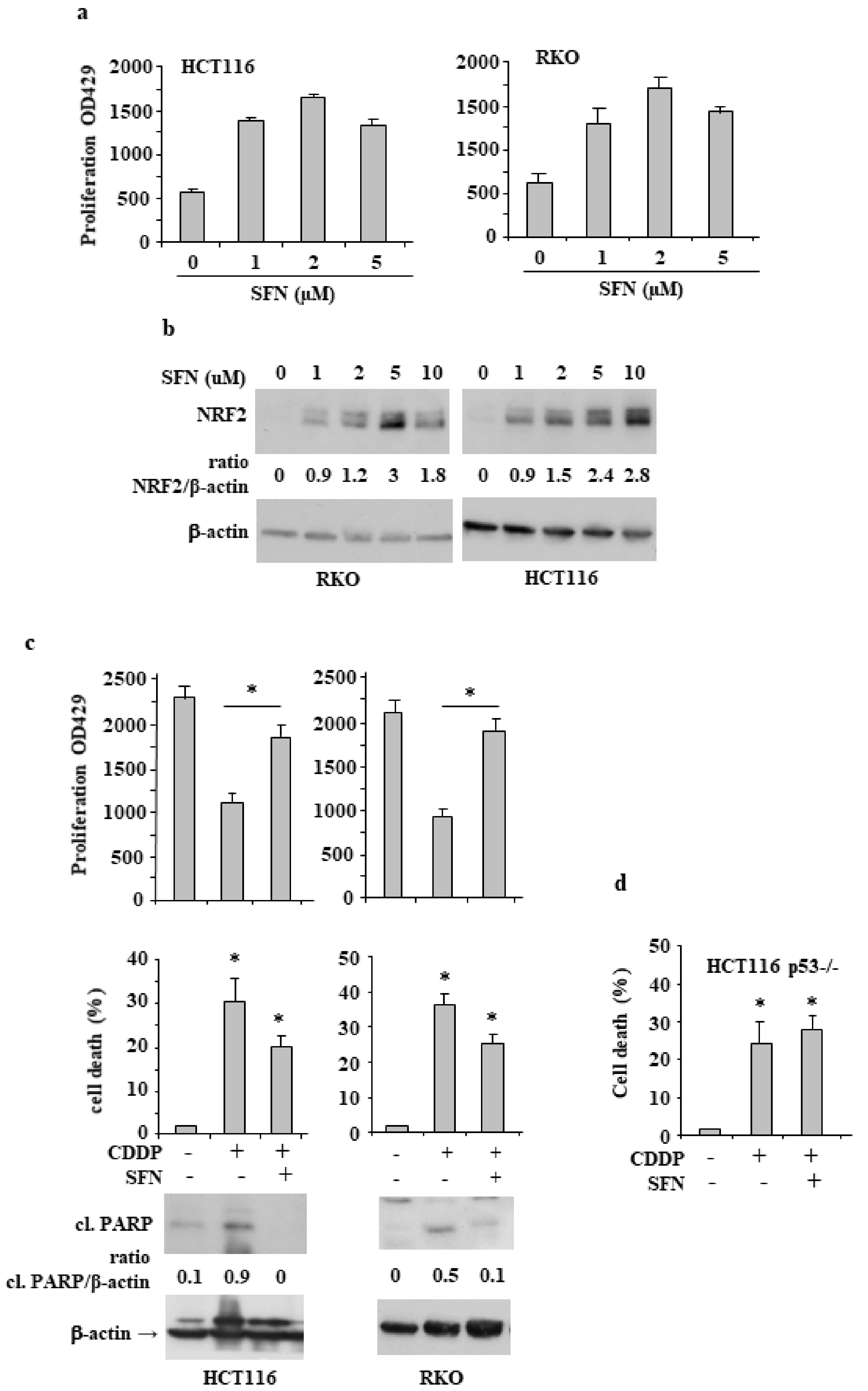Biomolecules 12 00461 g001