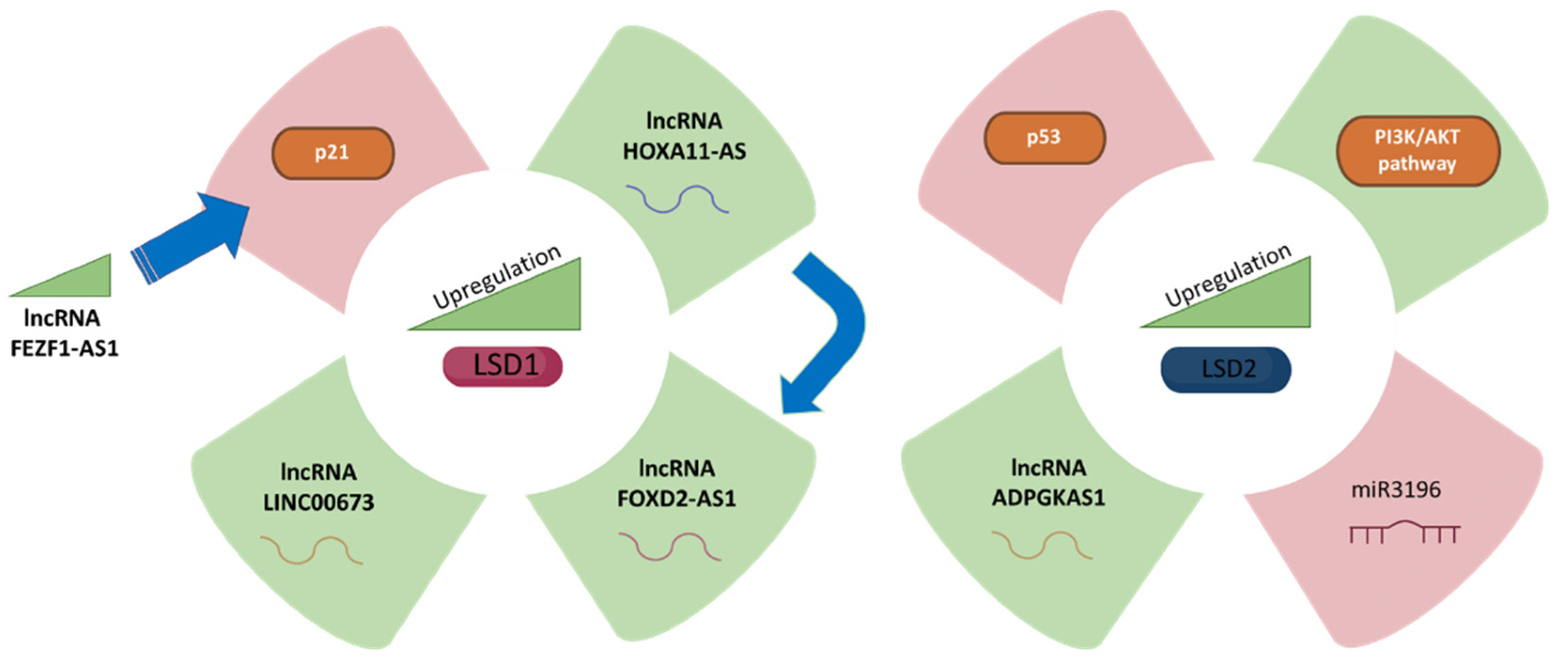Biomolecules 12 00462 g001