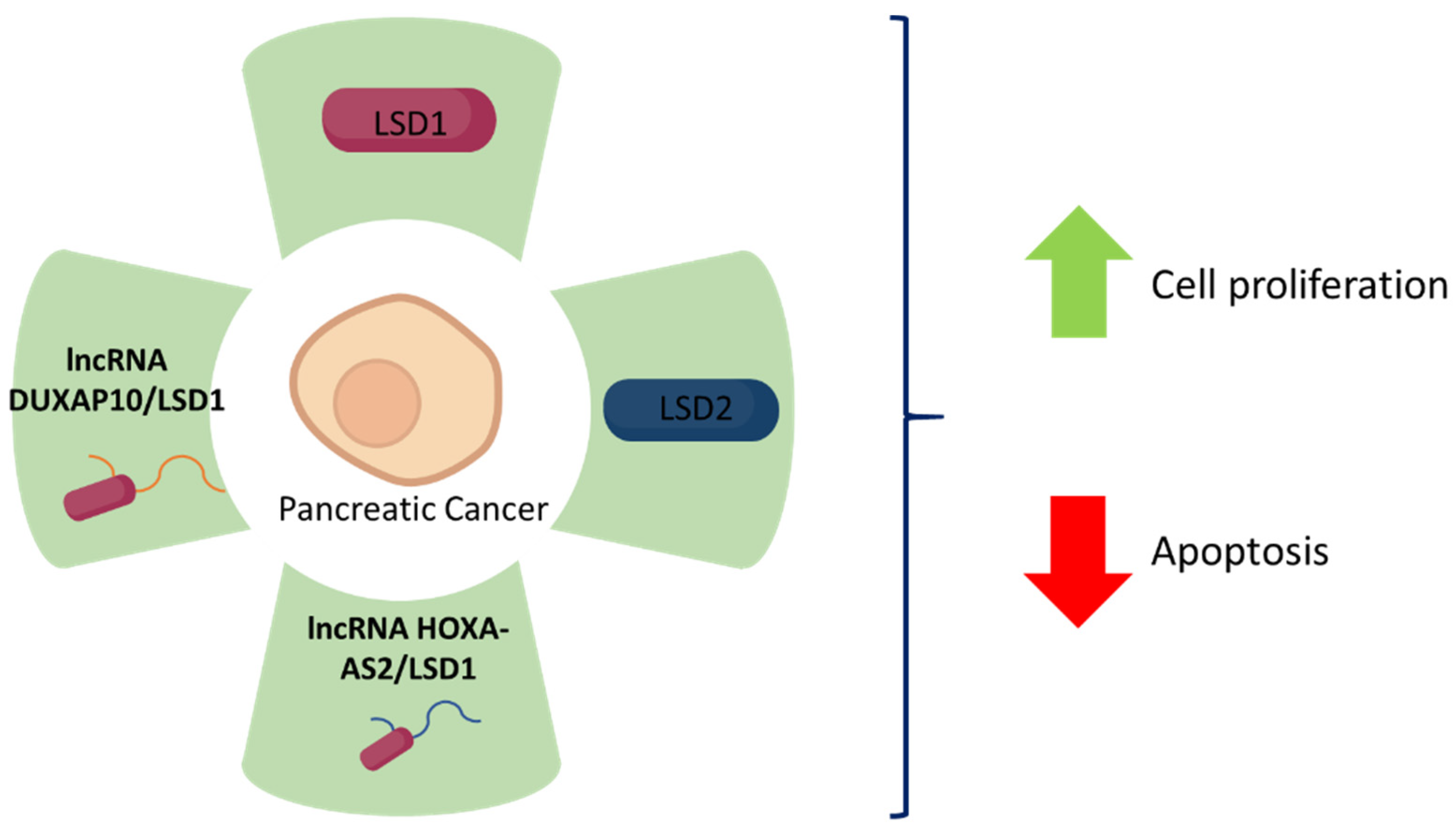 Biomolecules 12 00462 g003