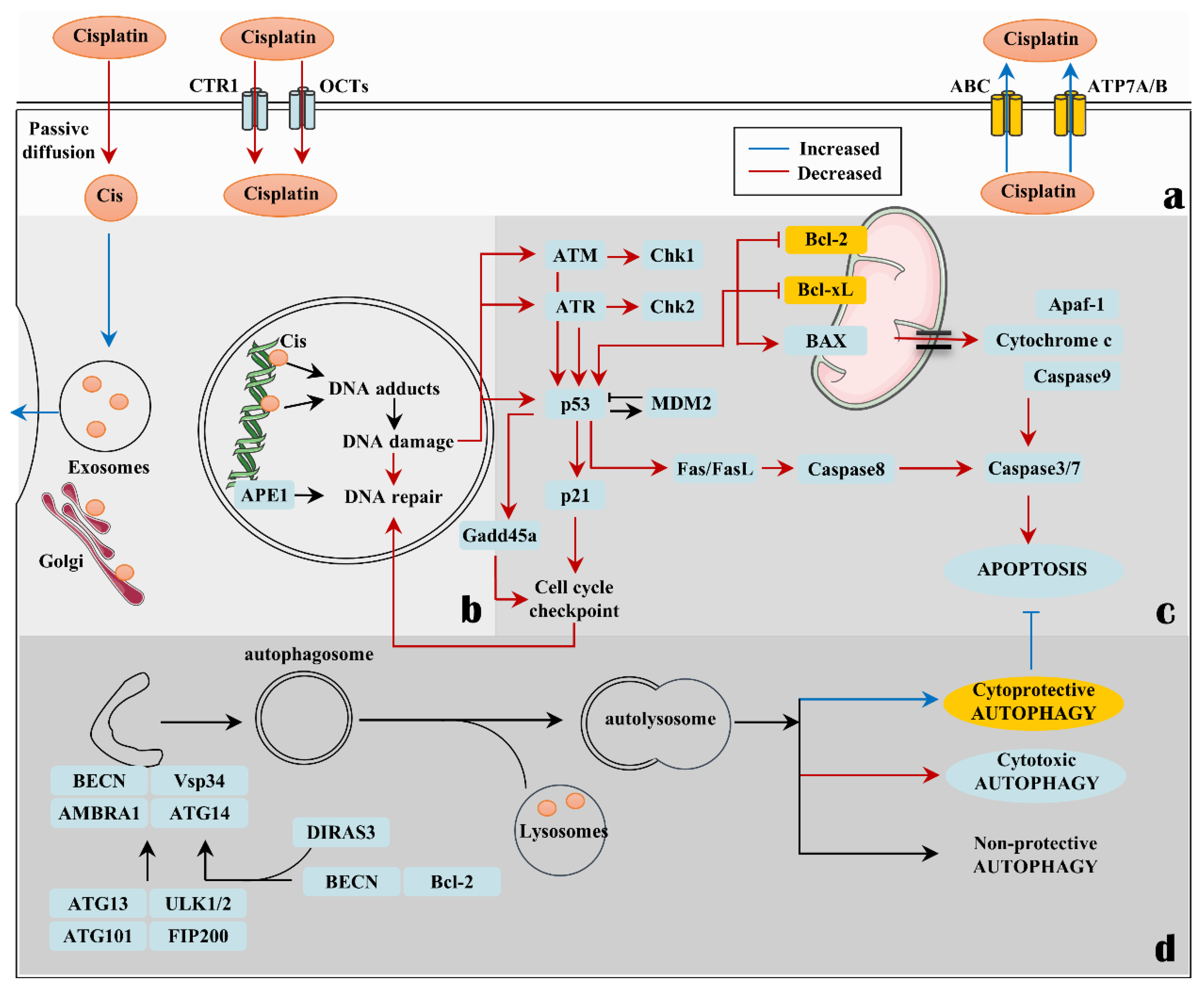 Biomolecules 12 00463 g001