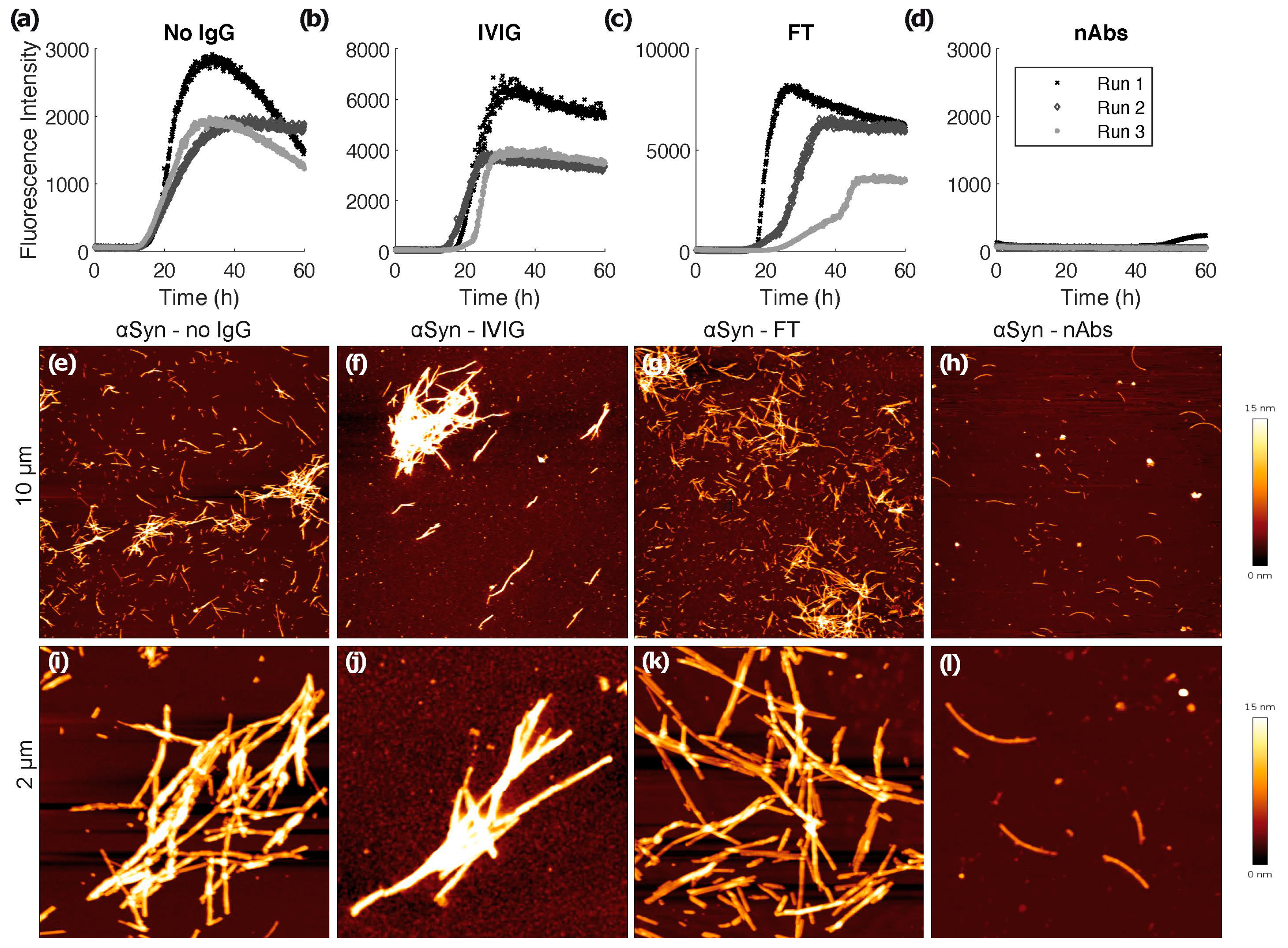 Biomolecules 12 00469 g002 Biomolecules 12 00469 g002