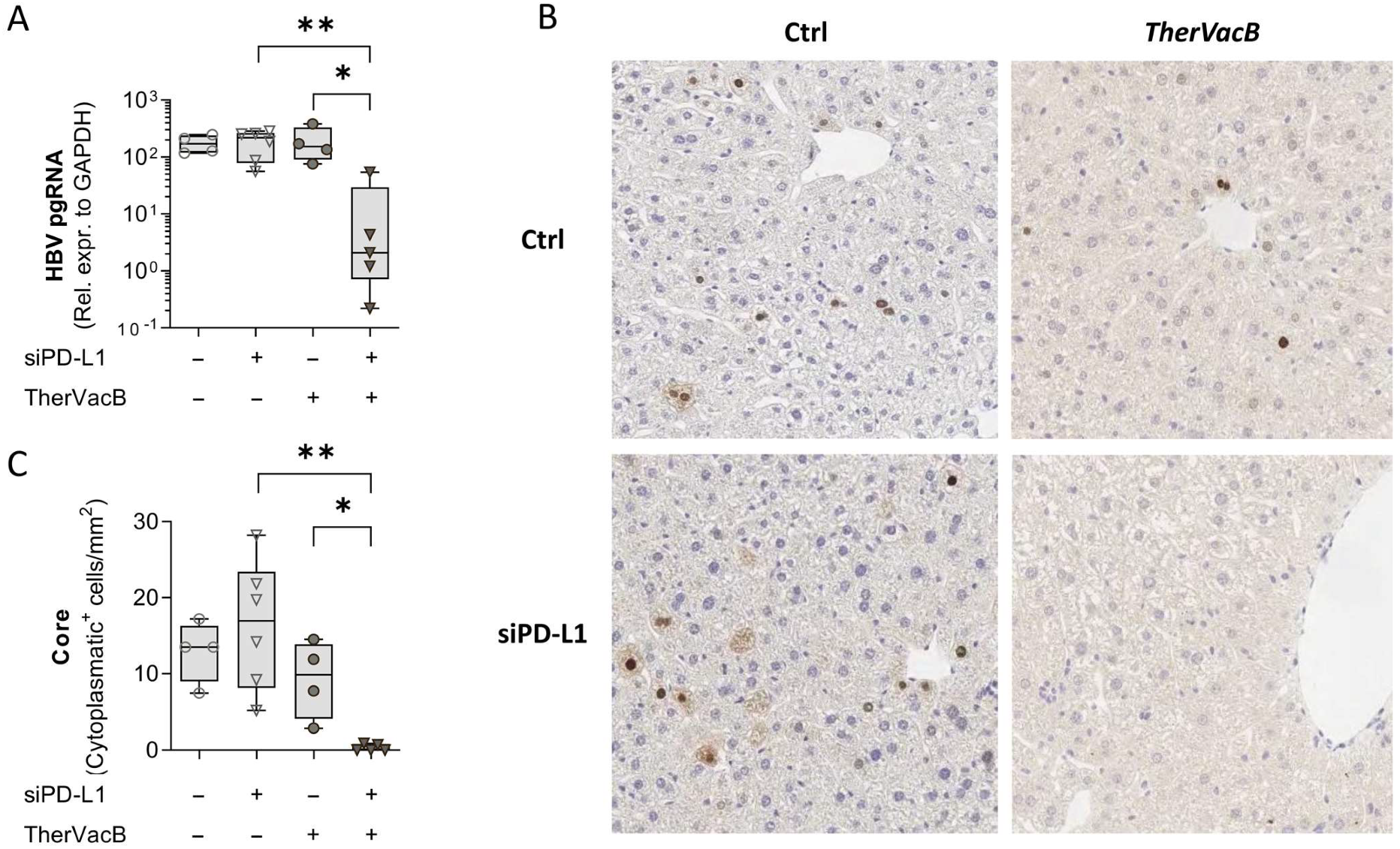 Biomolecules 12 00470 g003 550