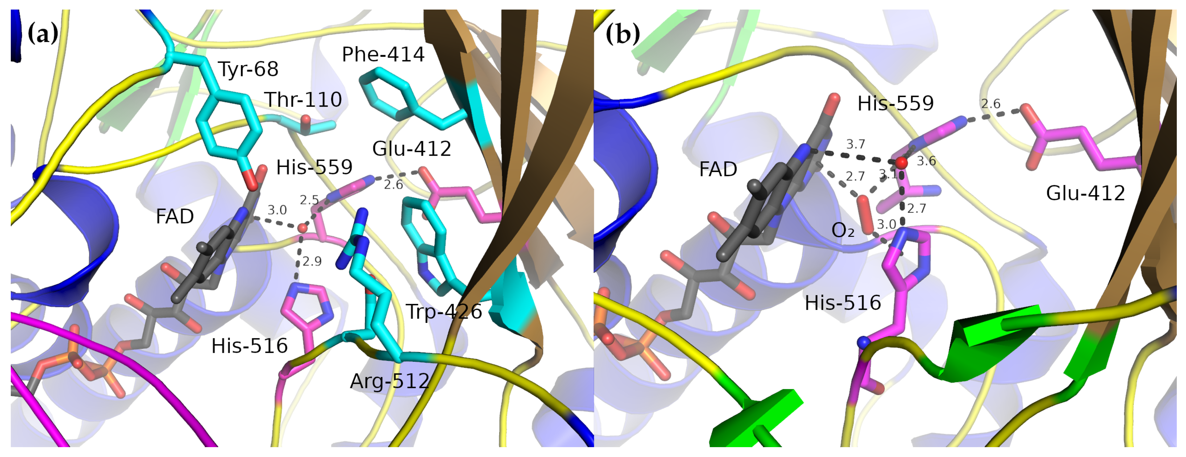 Biomolecules 12 00472 g003