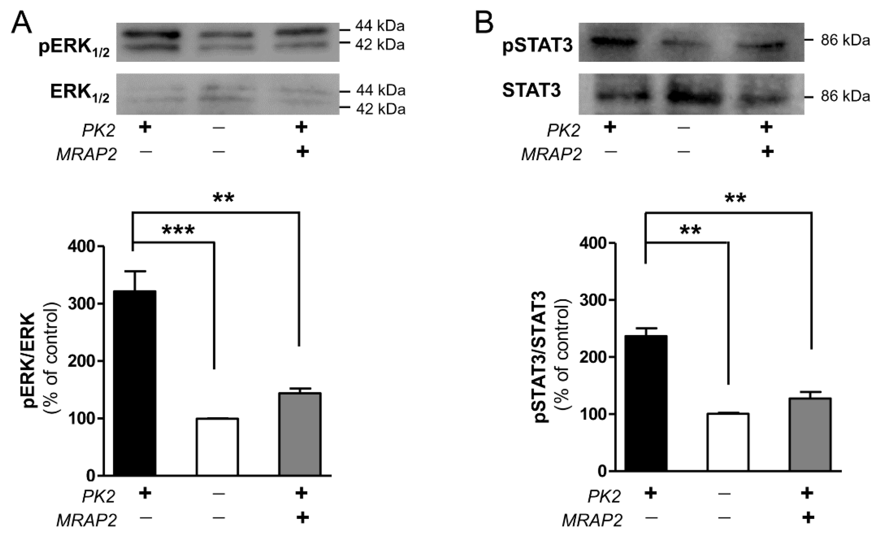 Biomolecules 12 00474 g001