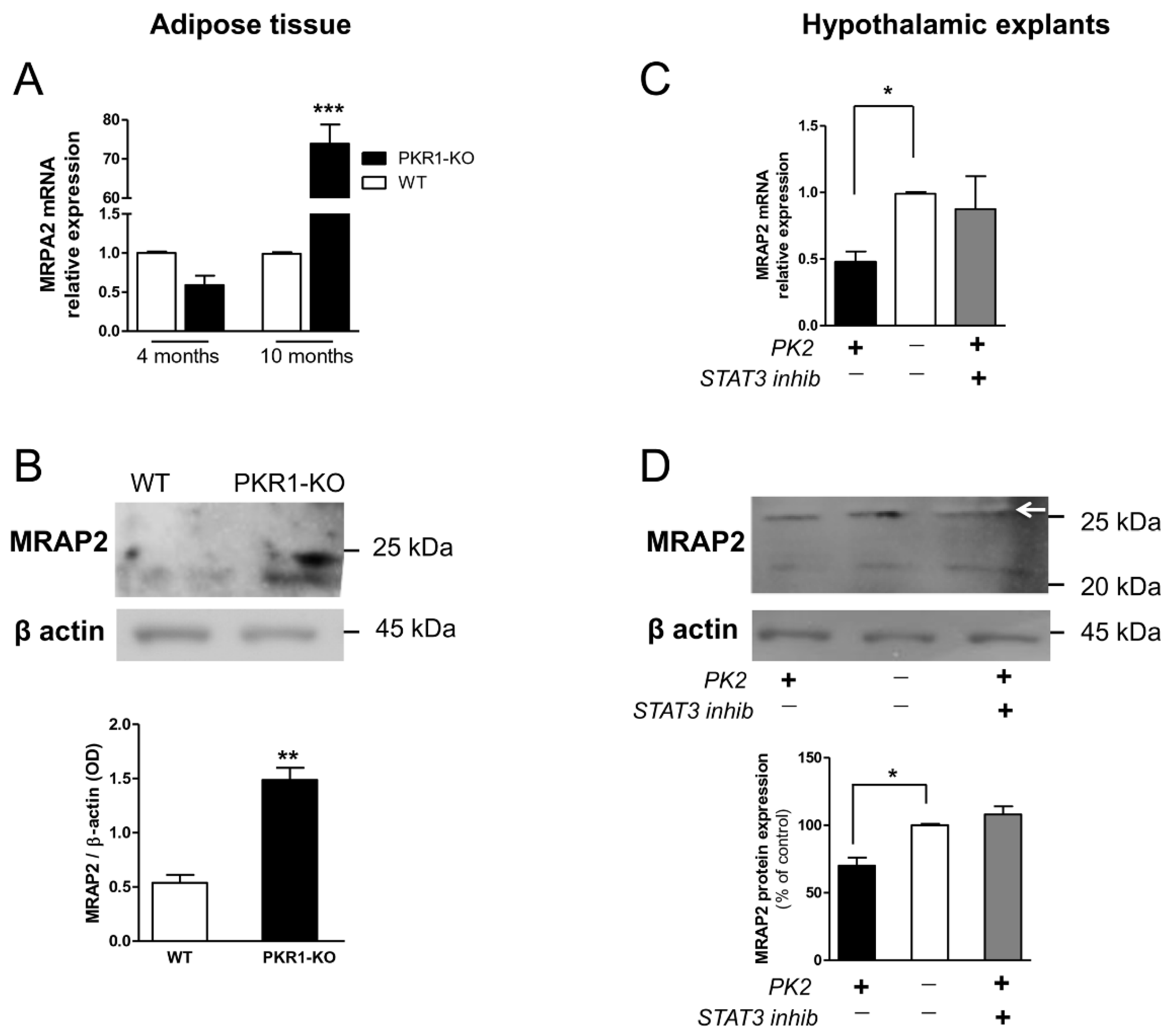 Biomolecules 12 00474 g005