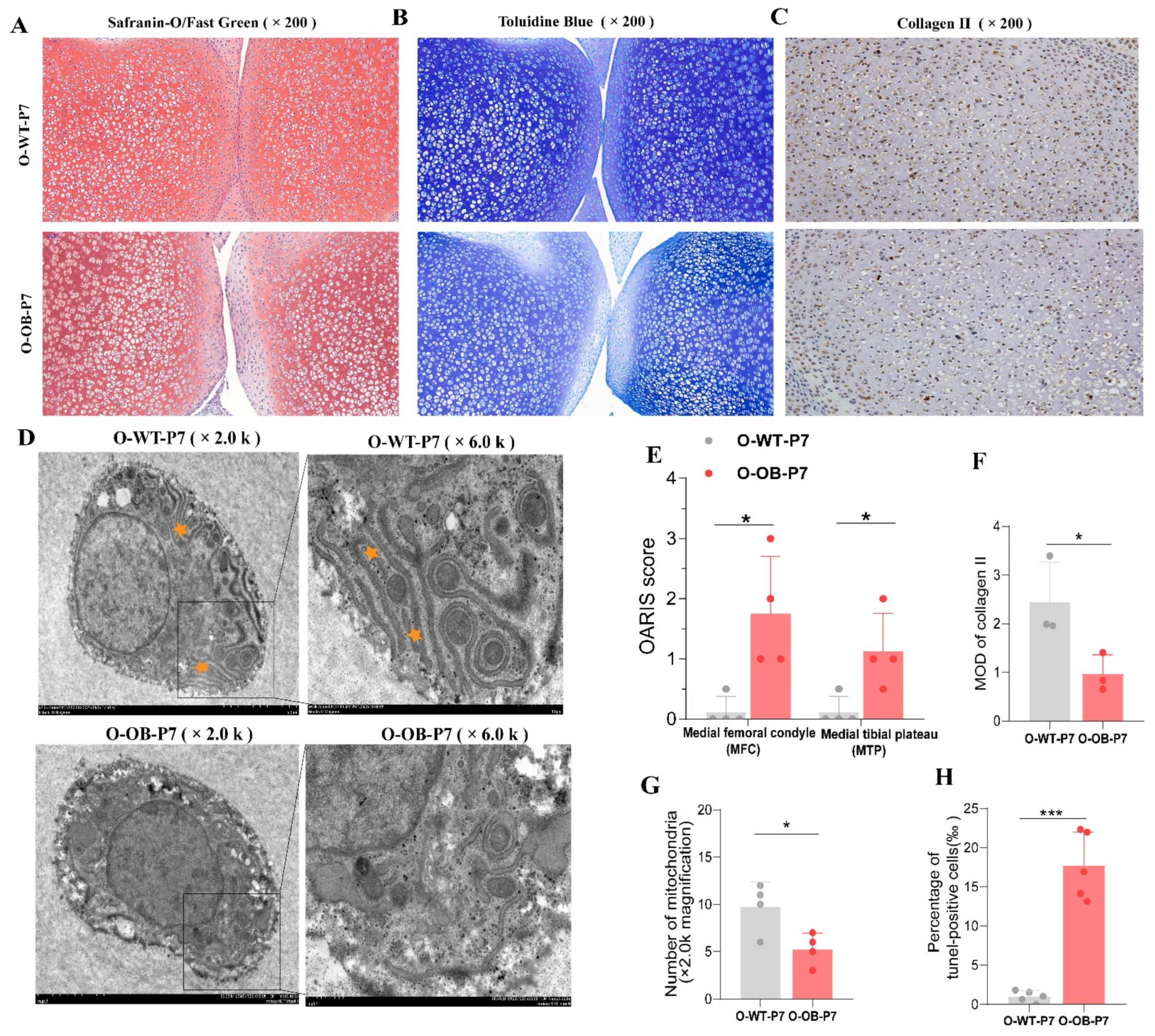 Biomolecules 12 00477 g002 550