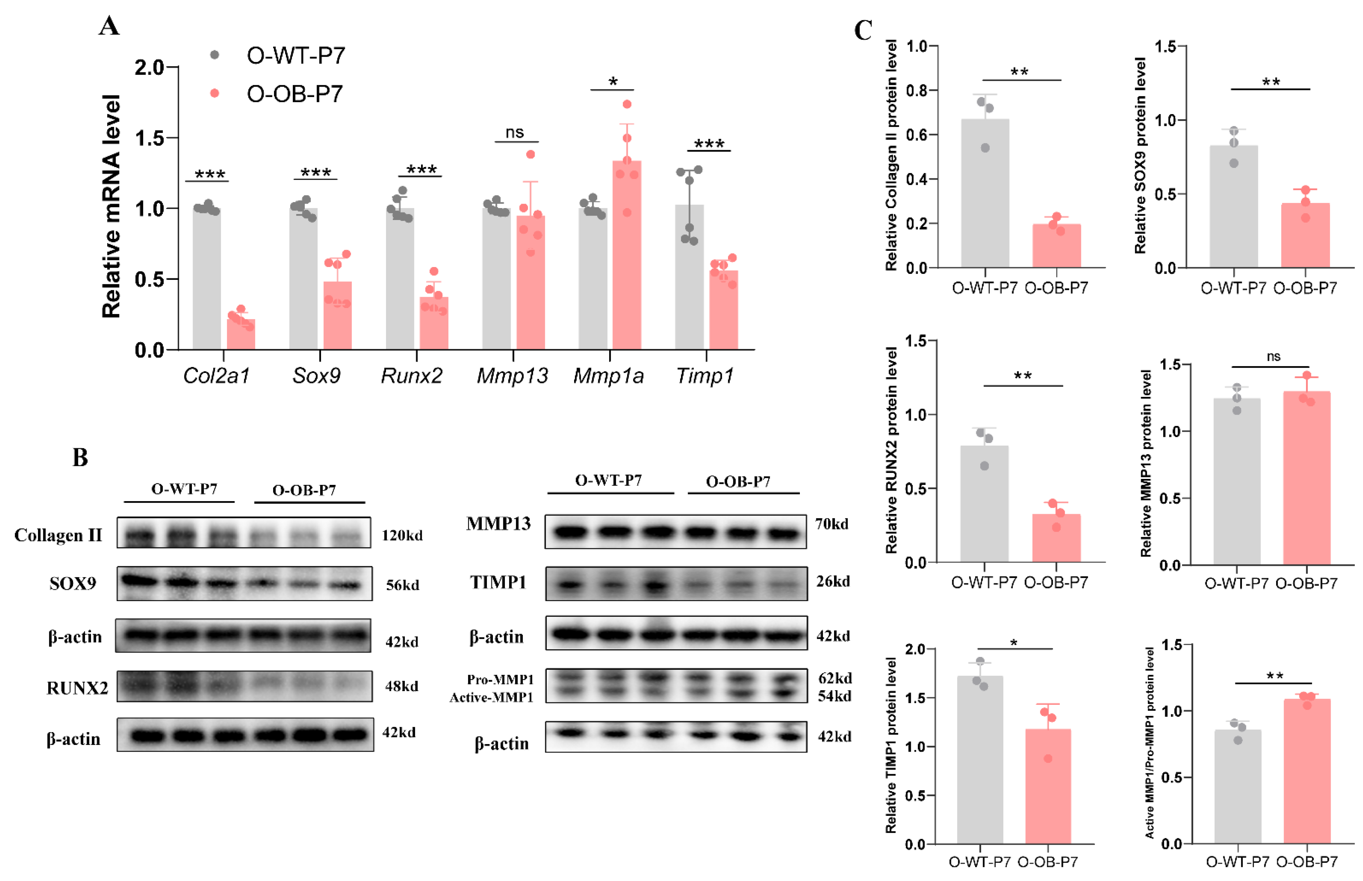 Biomolecules 12 00477 g003 550