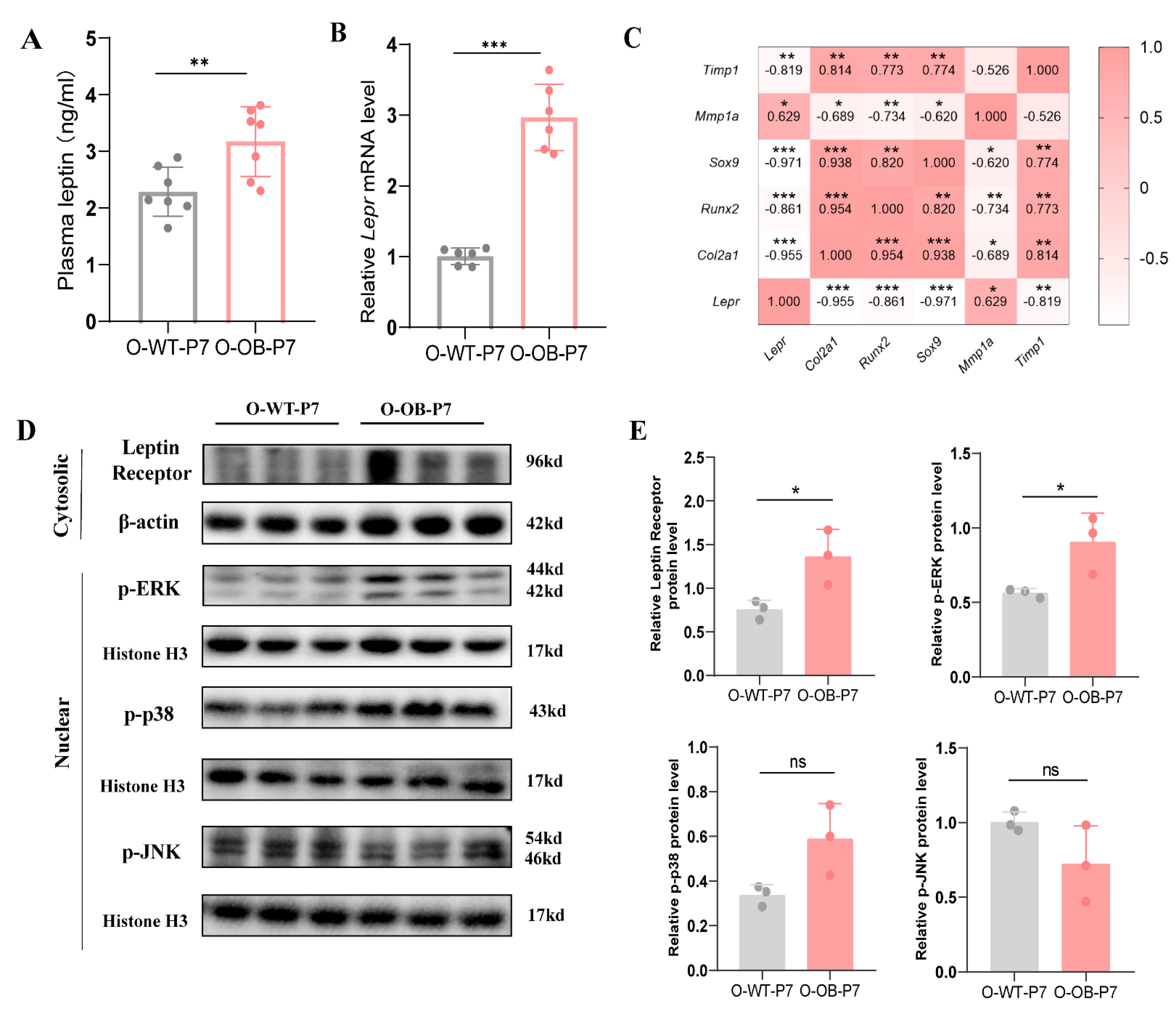 Biomolecules 12 00477 g004 550