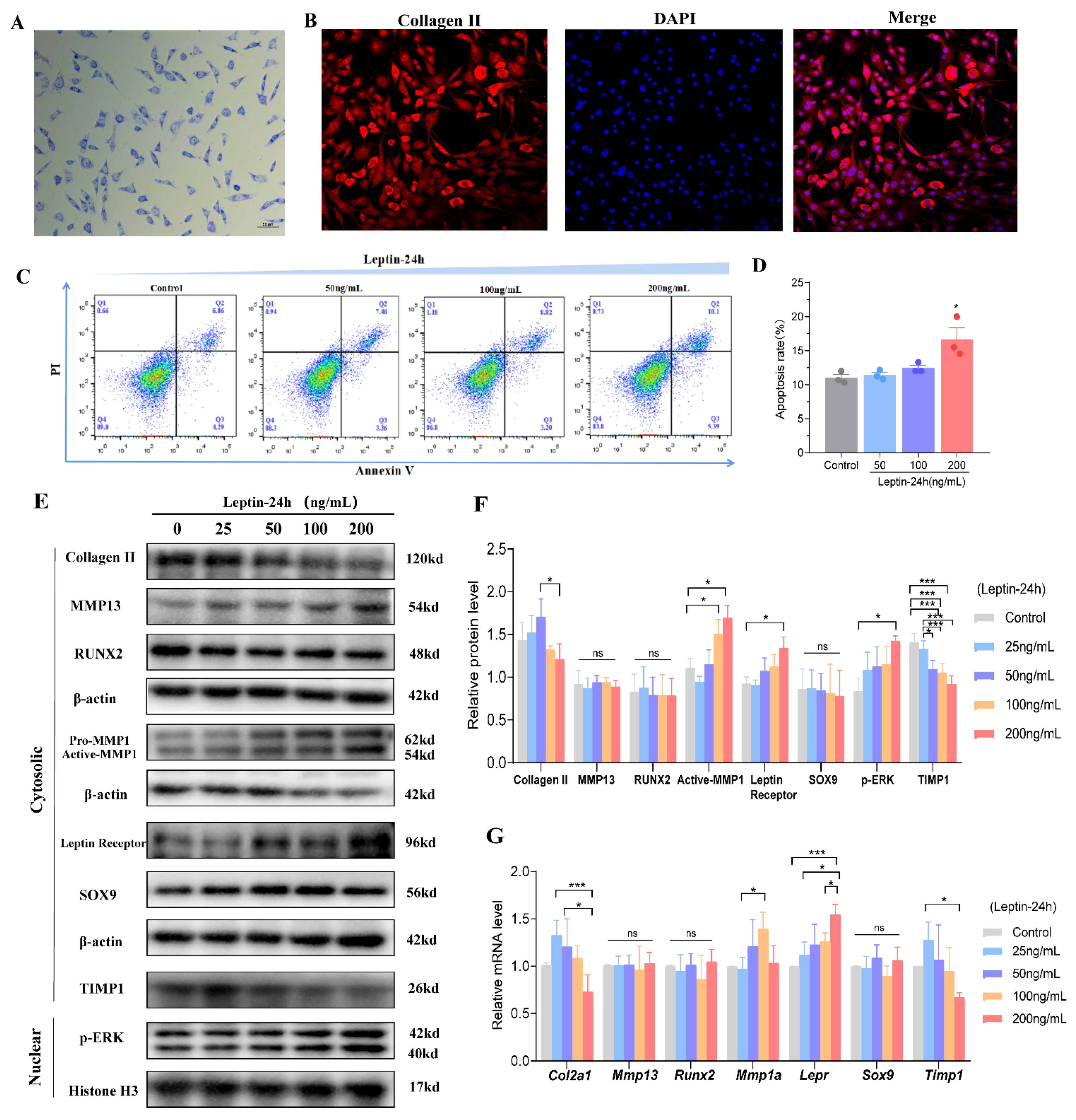 Biomolecules 12 00477 g005 550