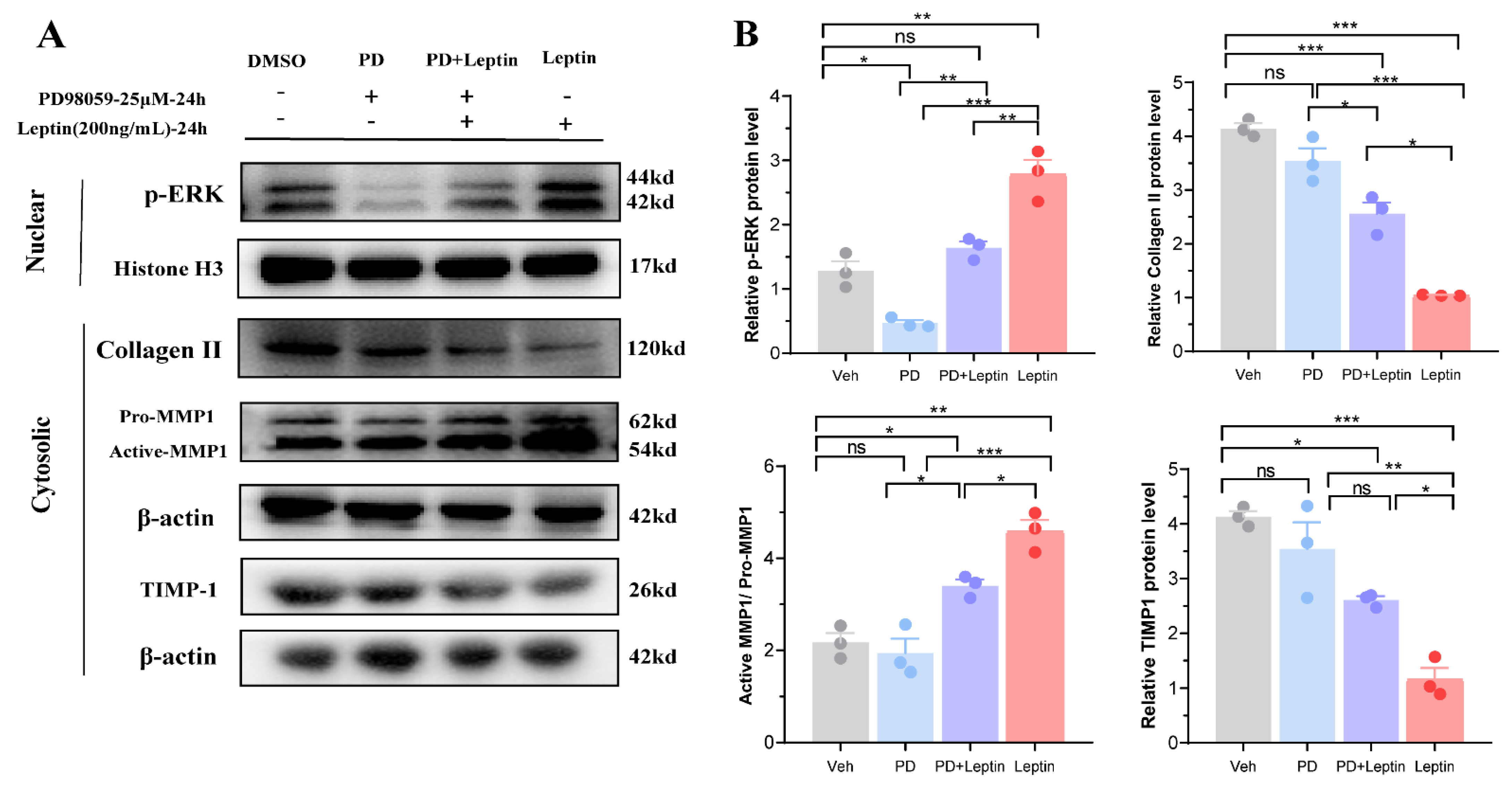 Biomolecules 12 00477 g006 550