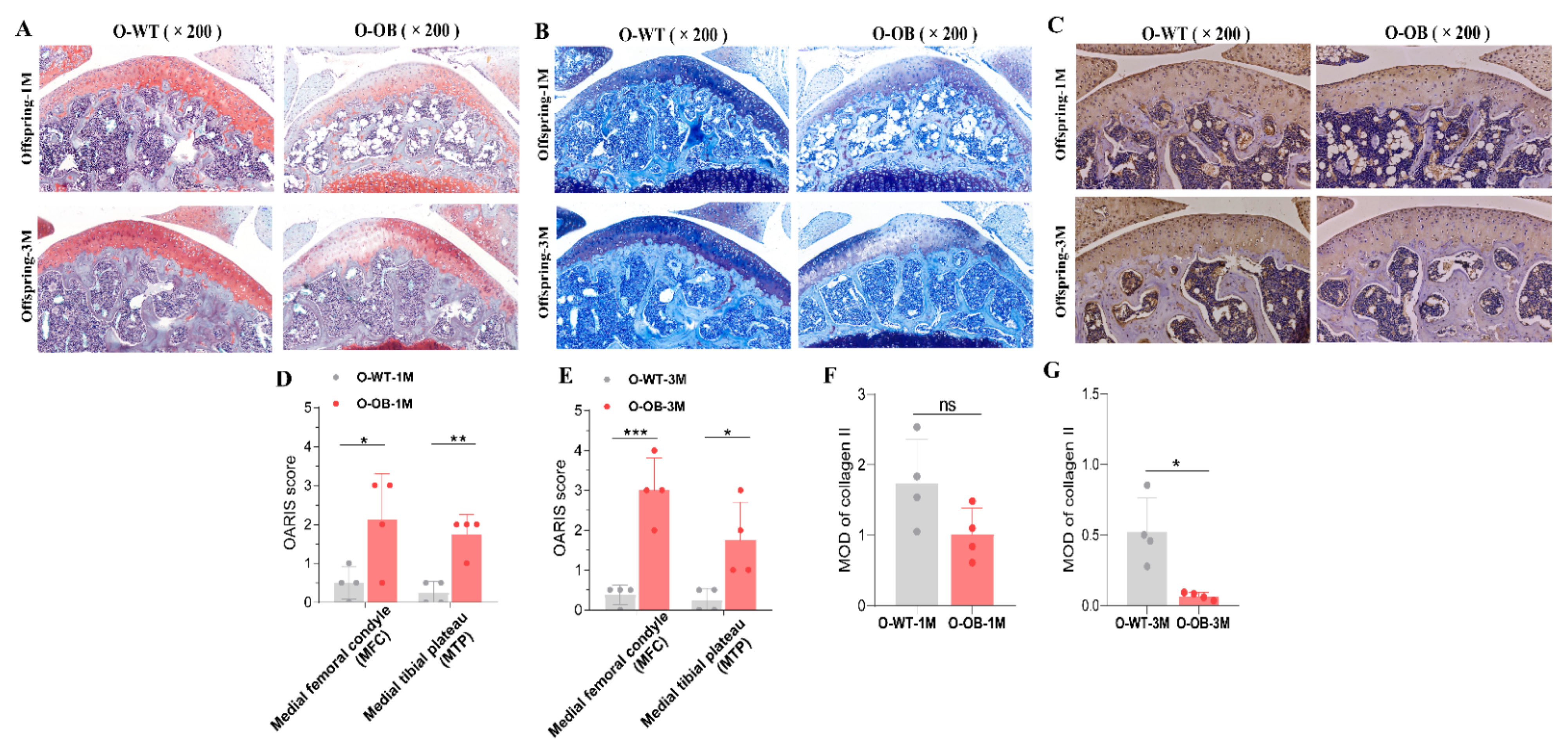 Biomolecules 12 00477 g007 550