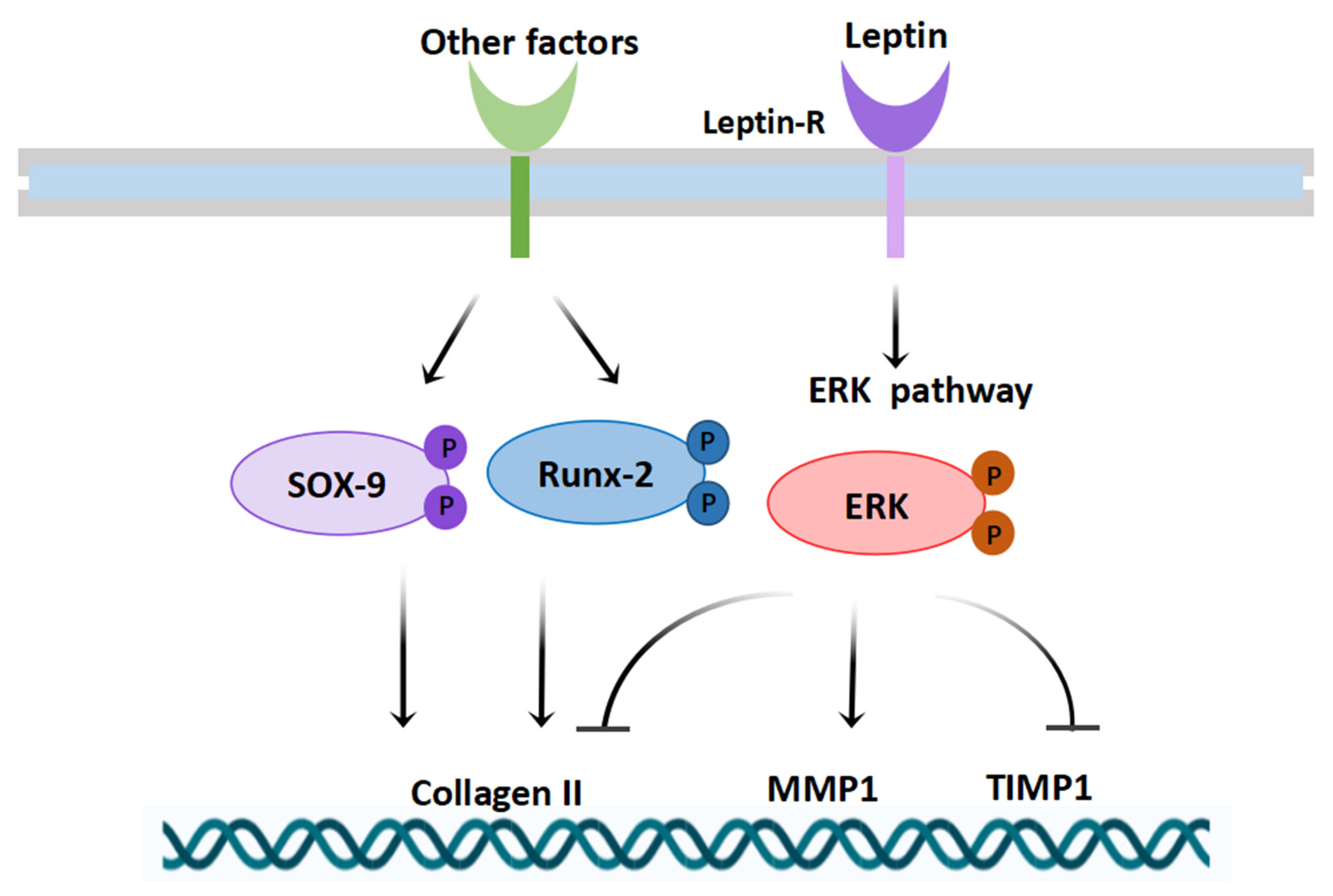 Biomolecules 12 00477 g008 550