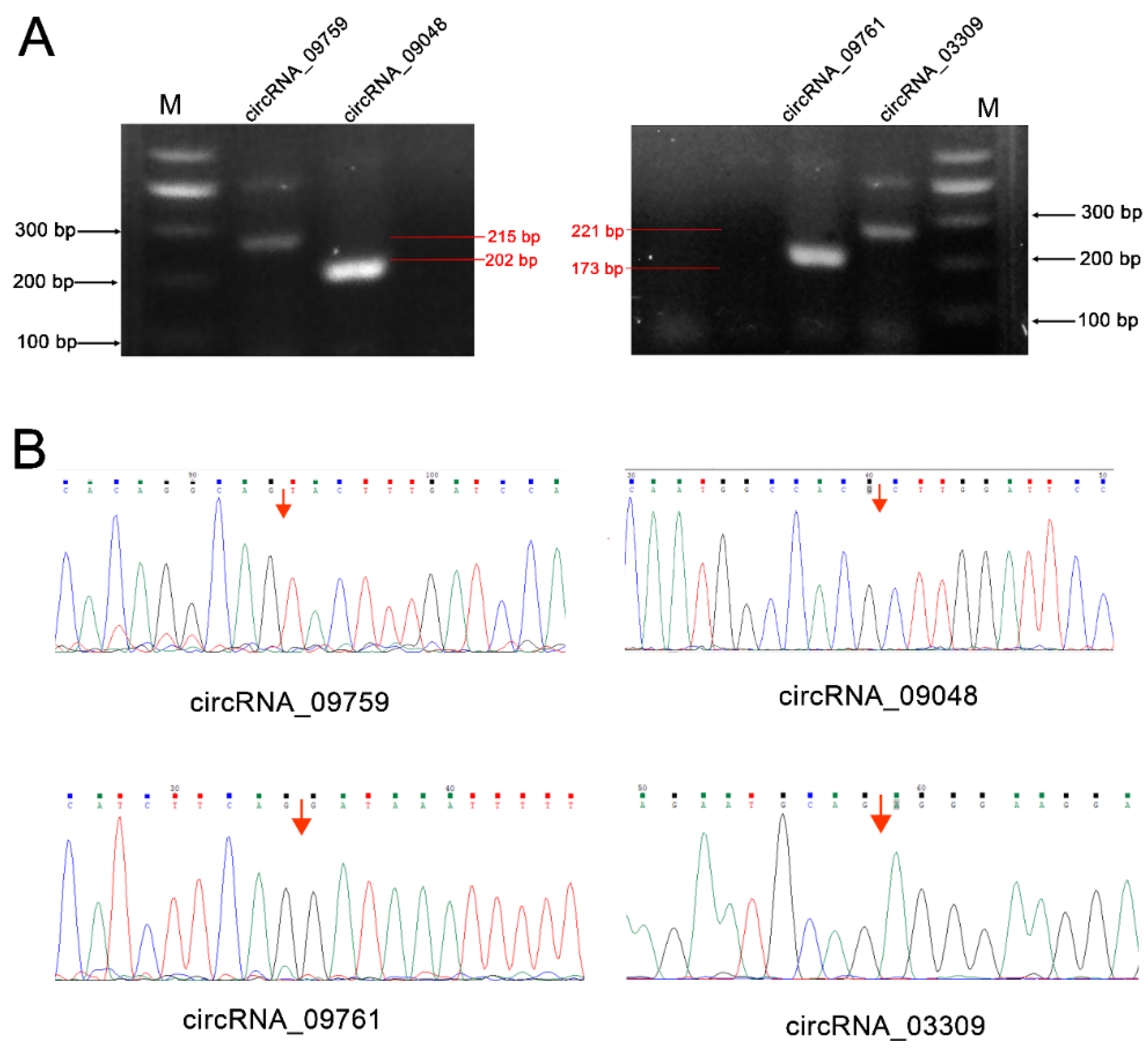 Biomolecules 12 00478 g006 550