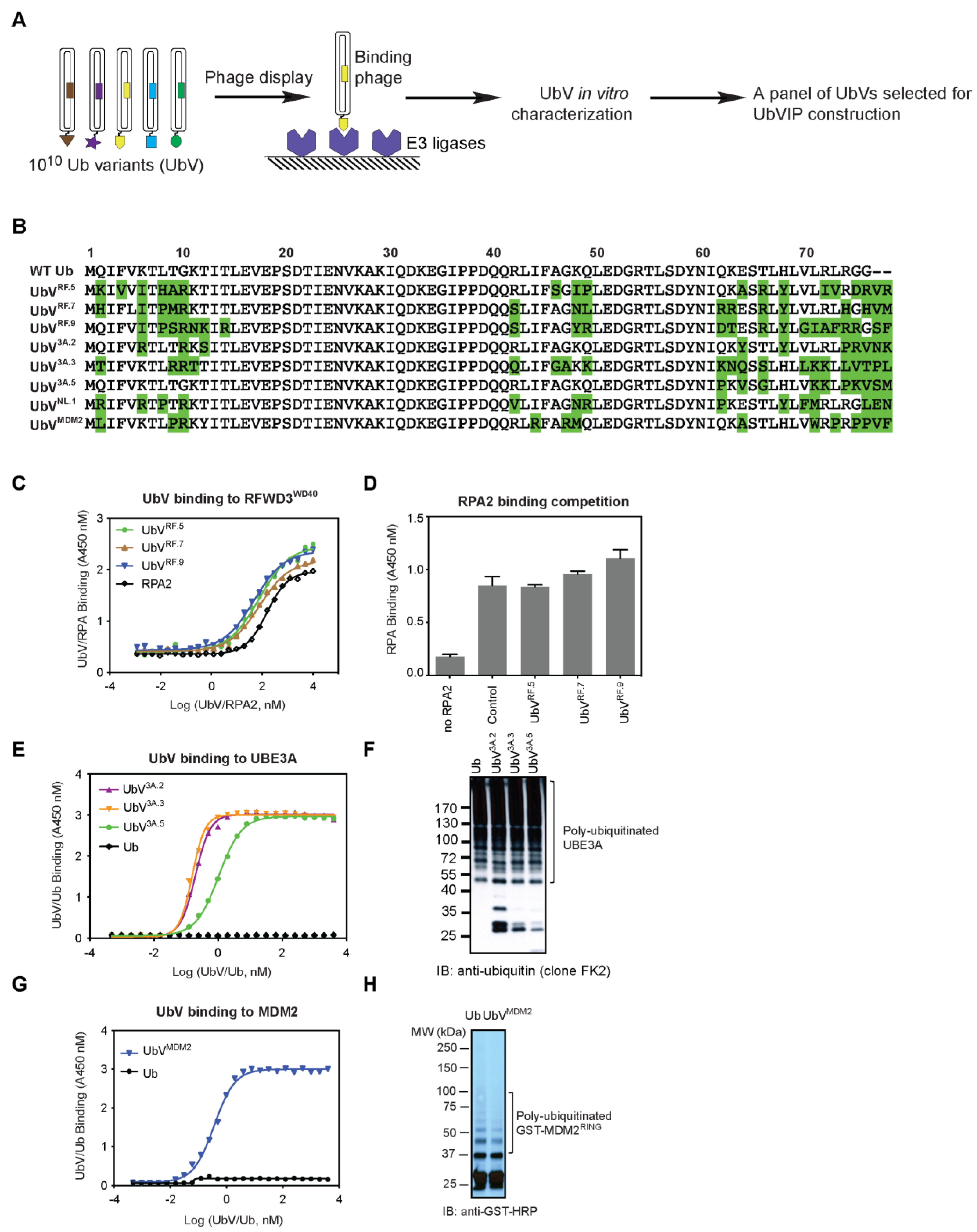 Biomolecules 12 00479 g001