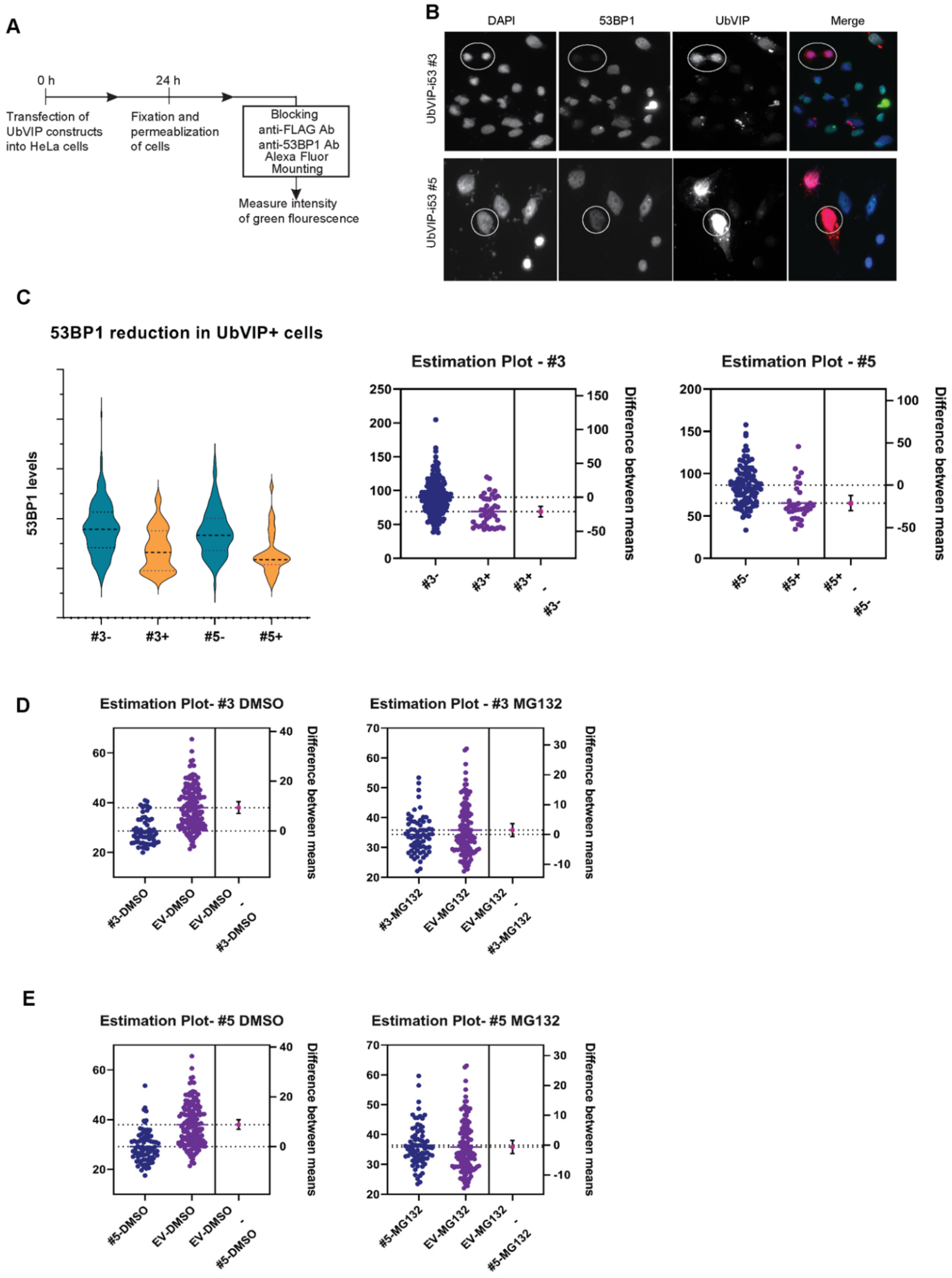 Biomolecules 12 00479 g004
