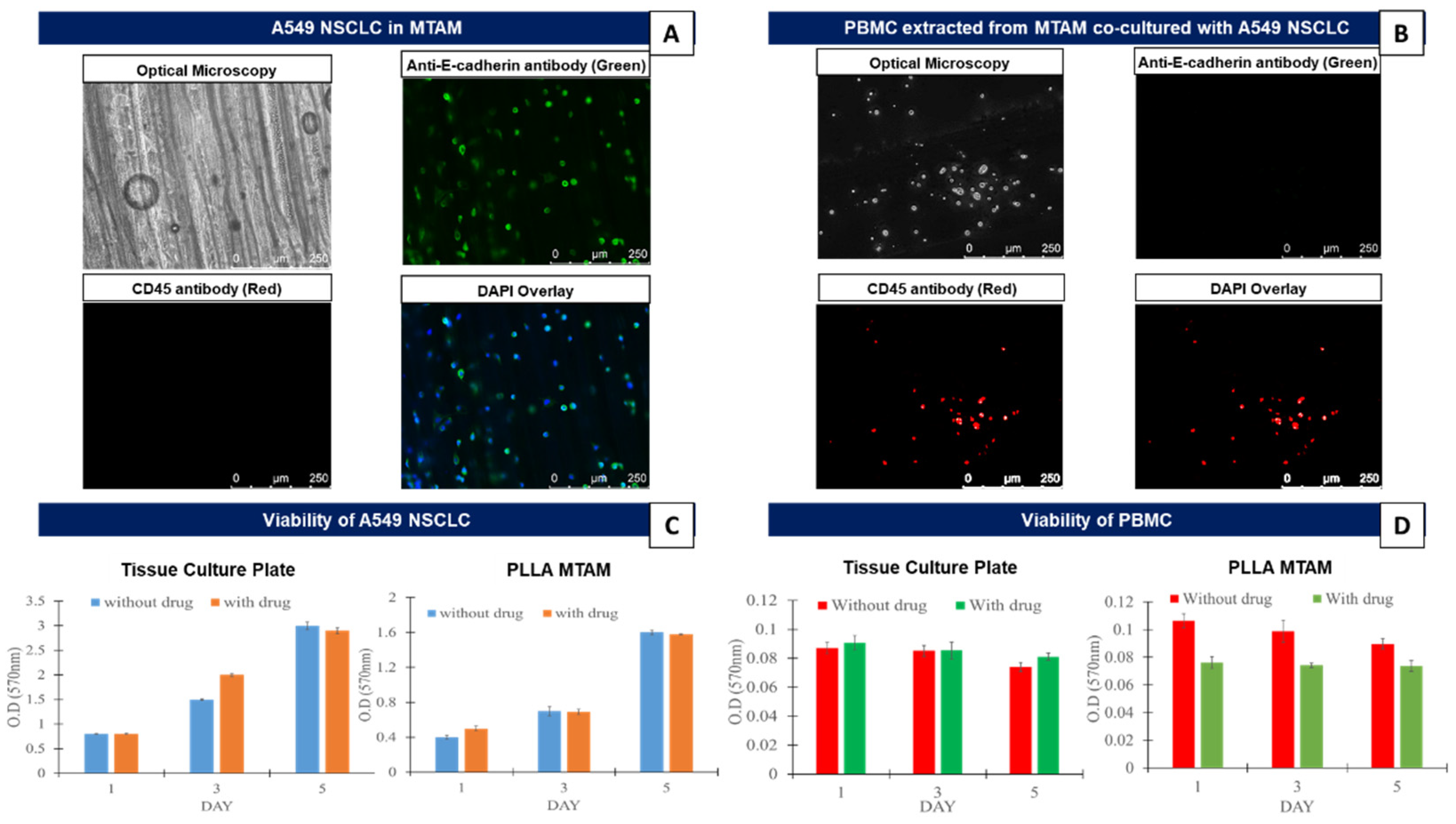 Biomolecules 12 00480 g001