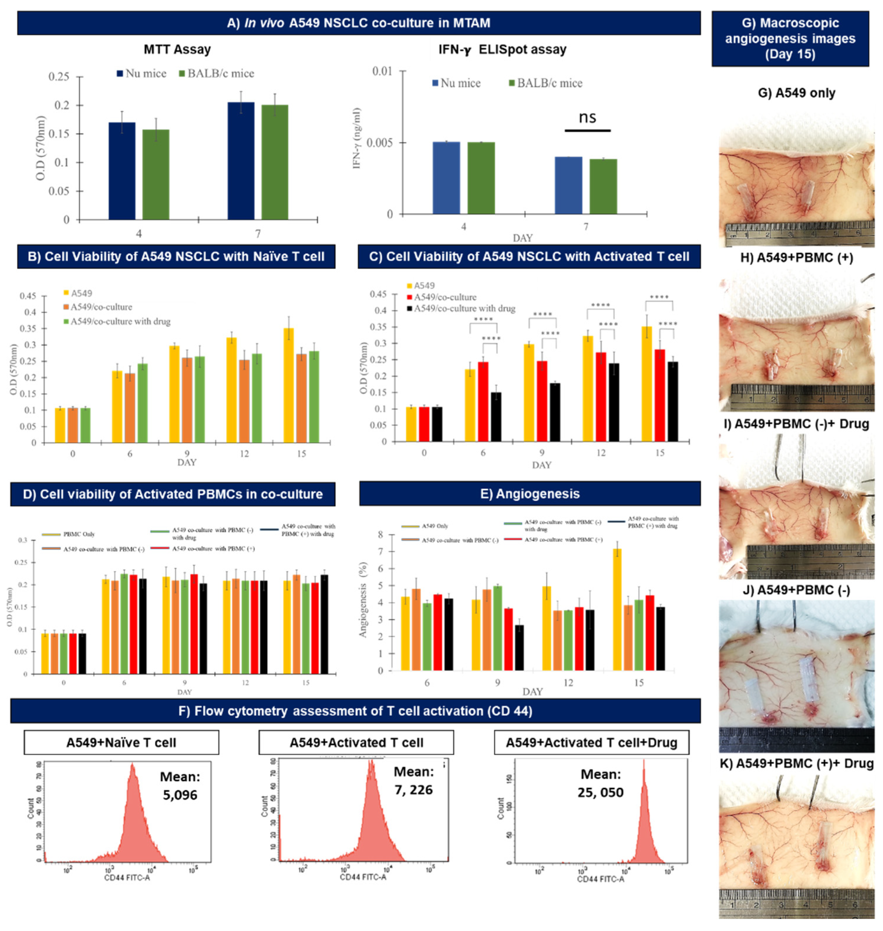 Biomolecules 12 00480 g003