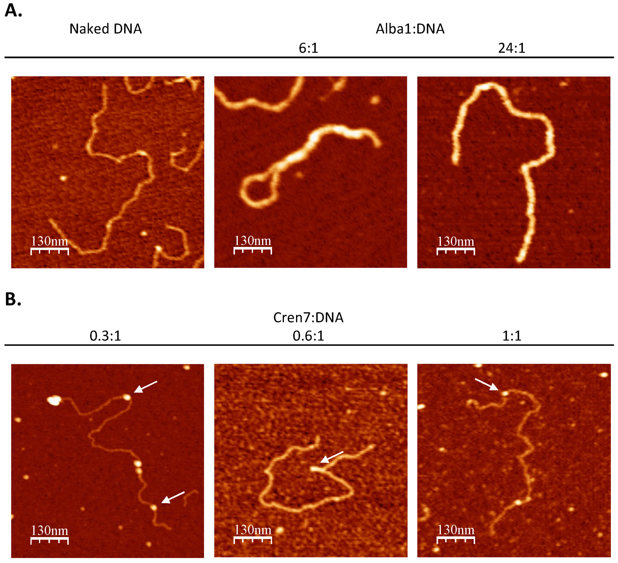 Biomolecules 12 00481 g003