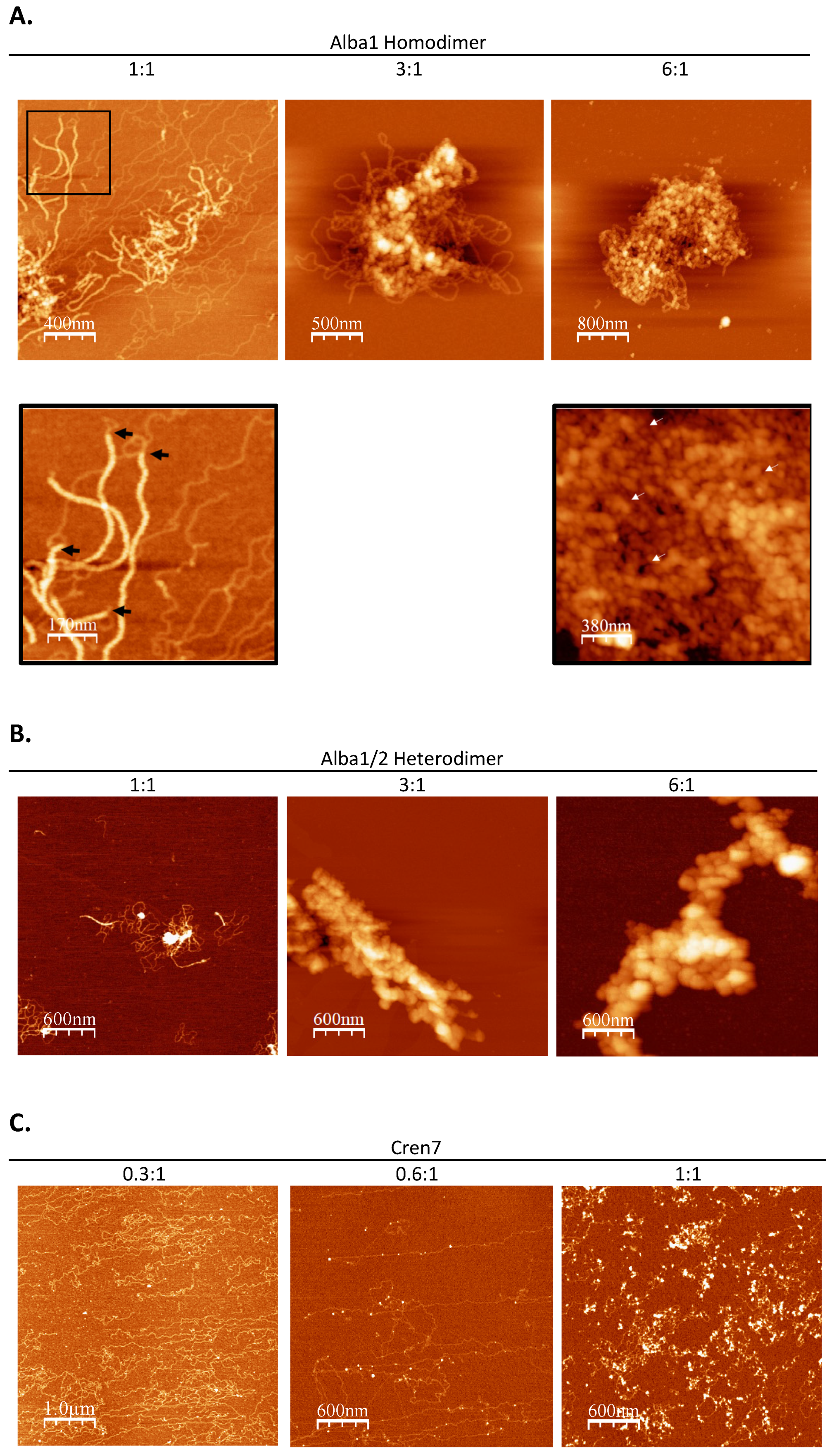 Biomolecules 12 00481 g005