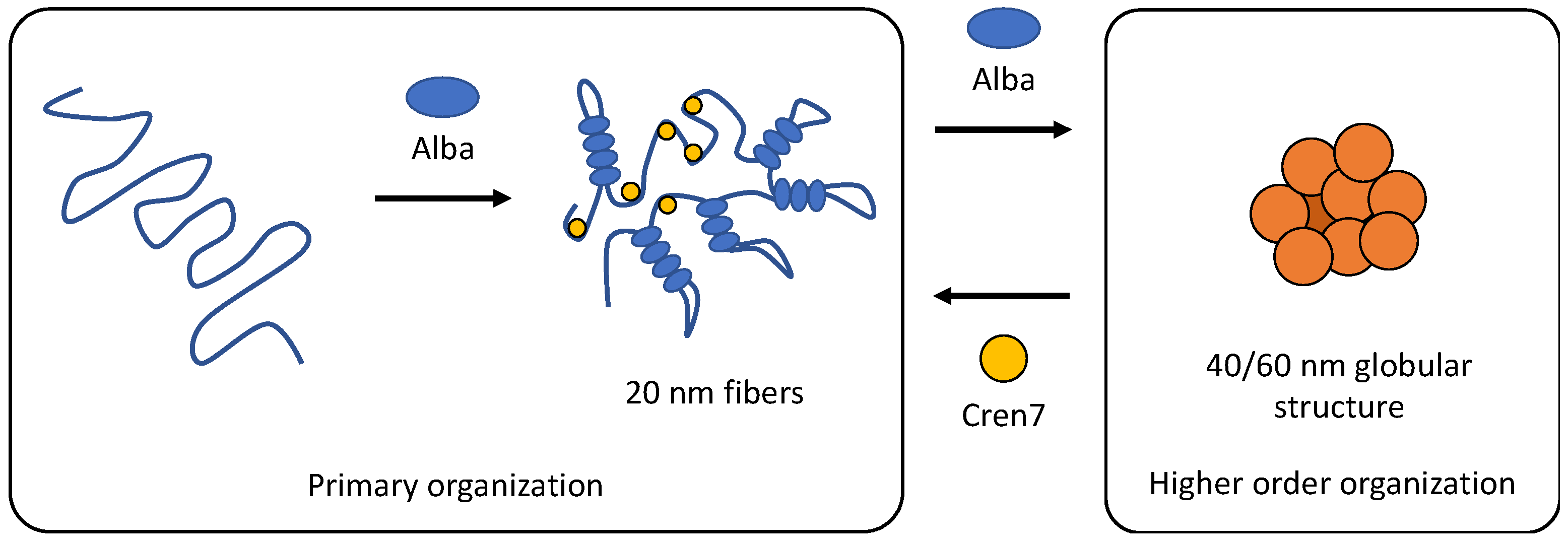 Biomolecules 12 00481 g009