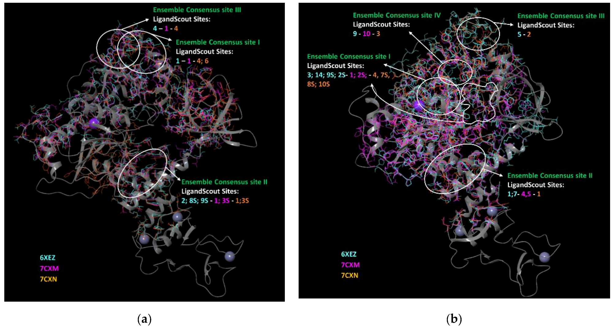 Biomolecules 12 00482 g004