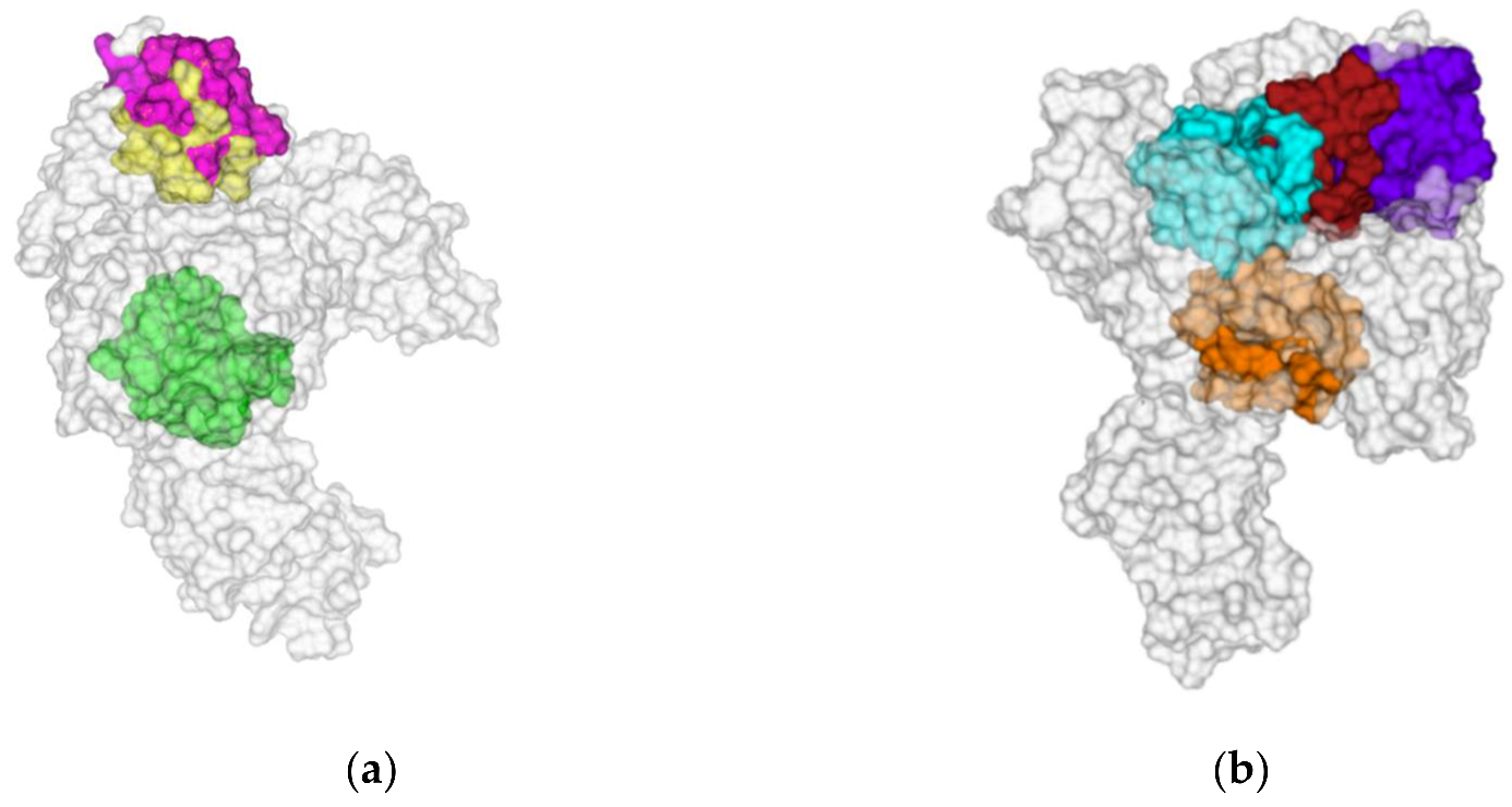 Biomolecules 12 00482 g005