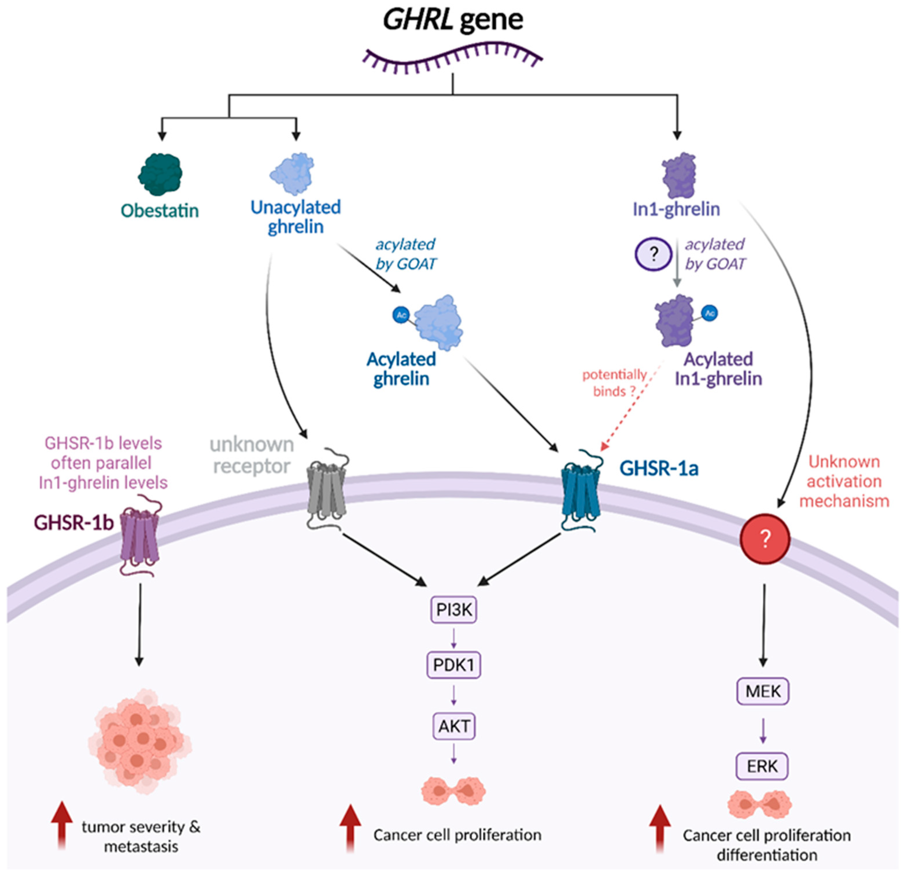 Biomolecules 12 00483 g002 Biomolecules 12 00483 g002