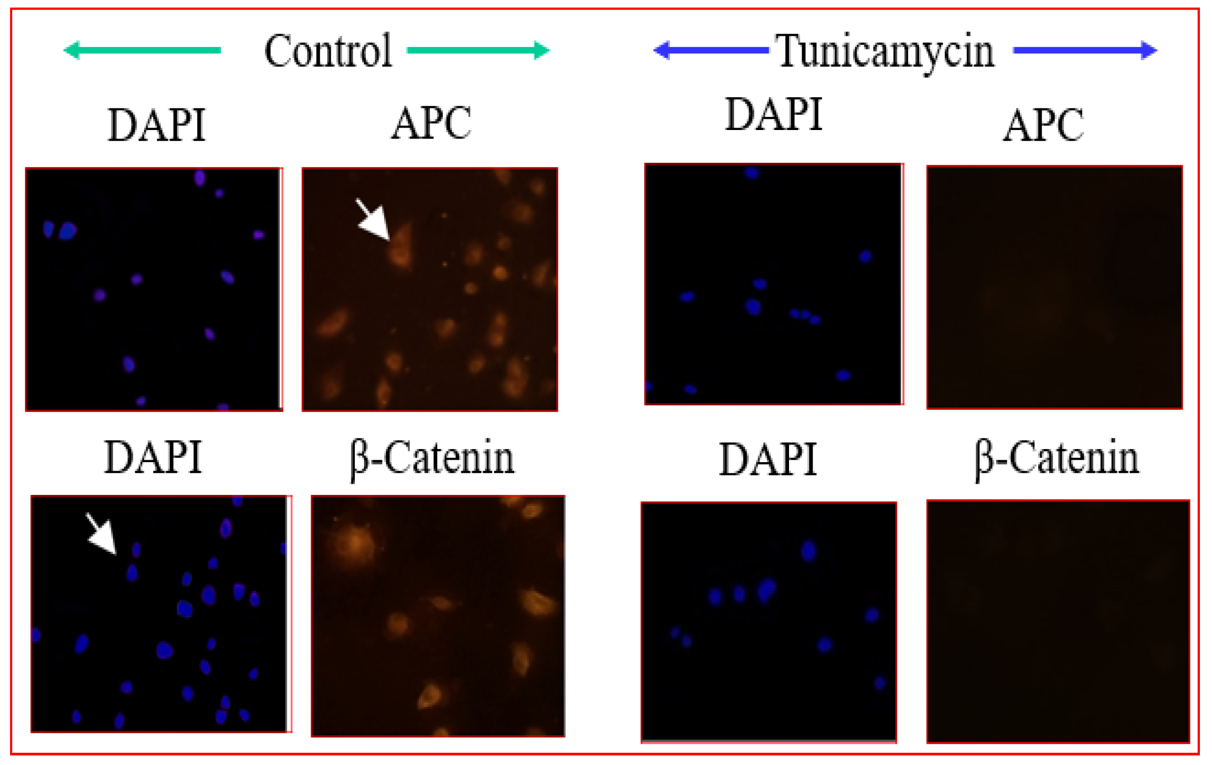 Biomolecules 12 00487 g004