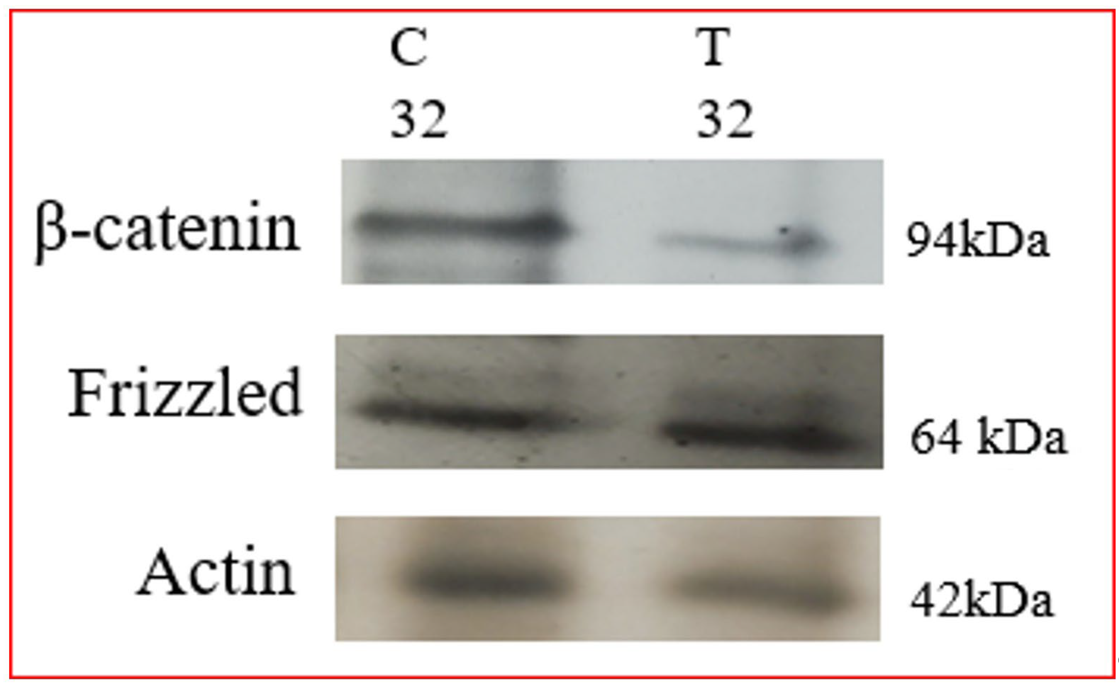 Biomolecules 12 00487 g005