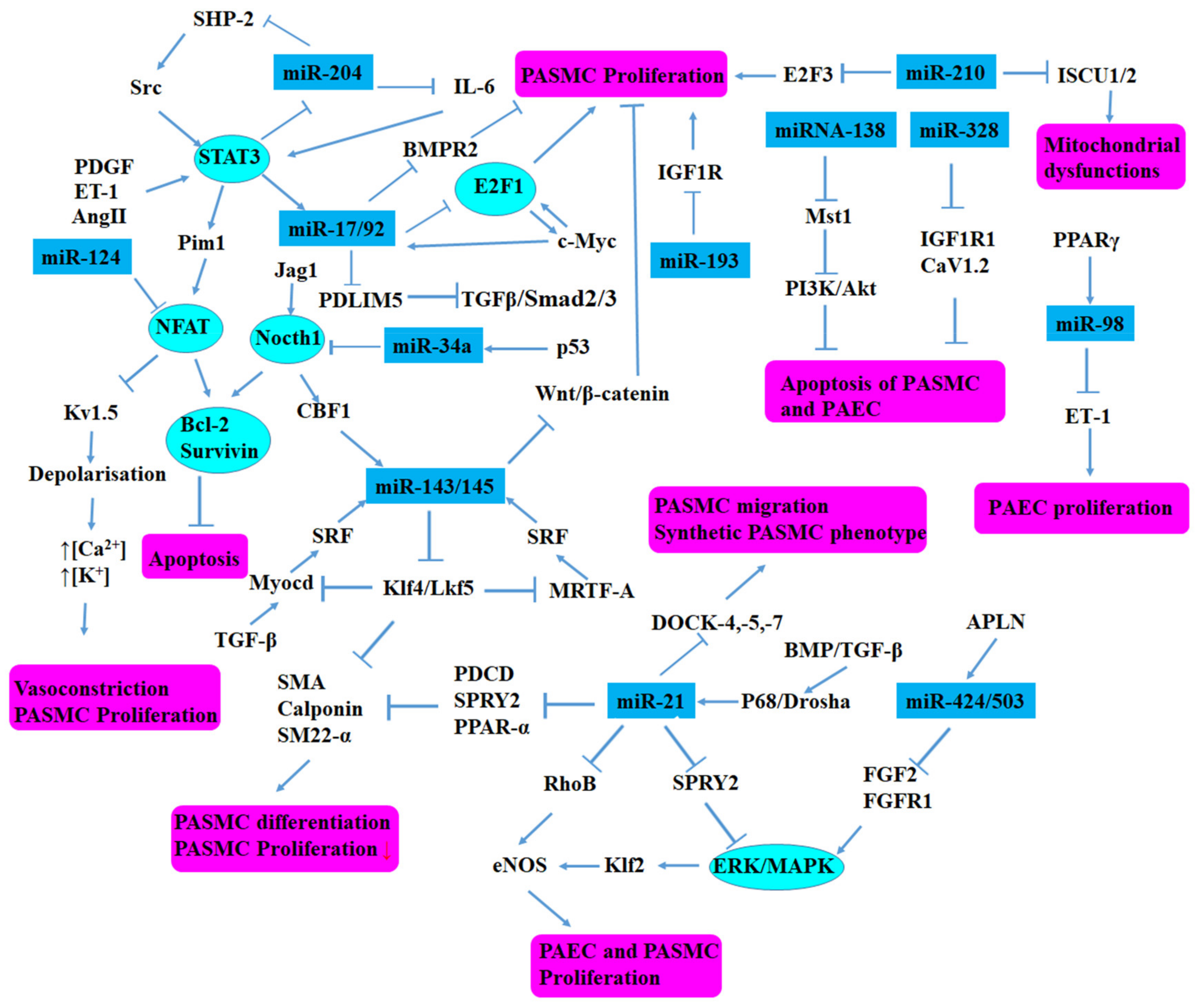 Biomolecules 12 00496 g002 Biomolecules 12 00496 g002