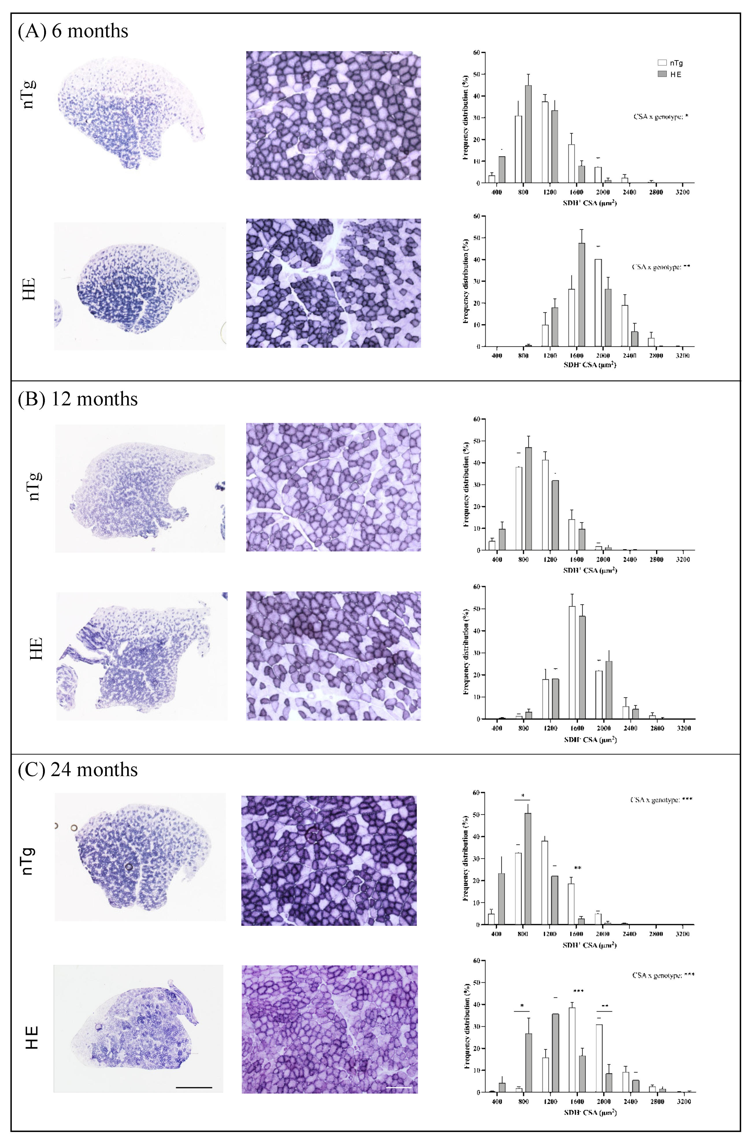 Biomolecules 12 00497 g007 550