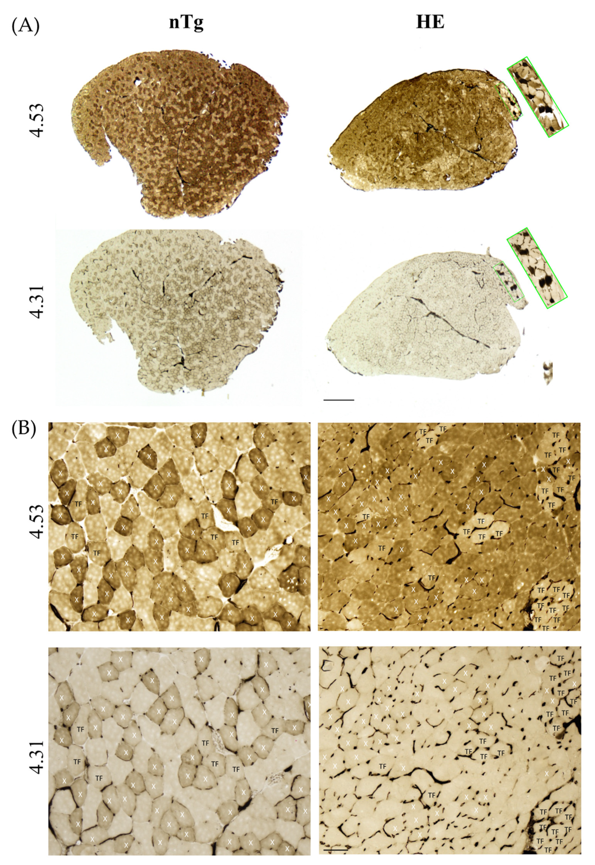 Biomolecules 12 00497 g010 550