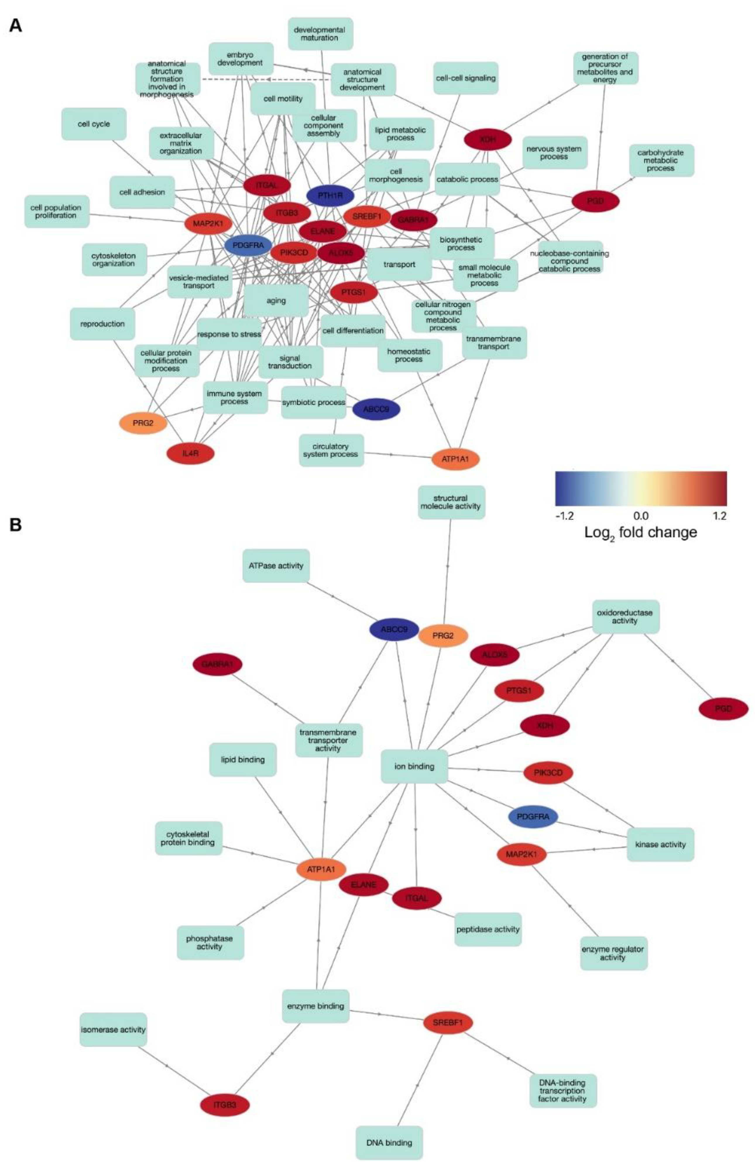 Biomolecules 12 00498 g005 Biomolecules 12 00498 g005