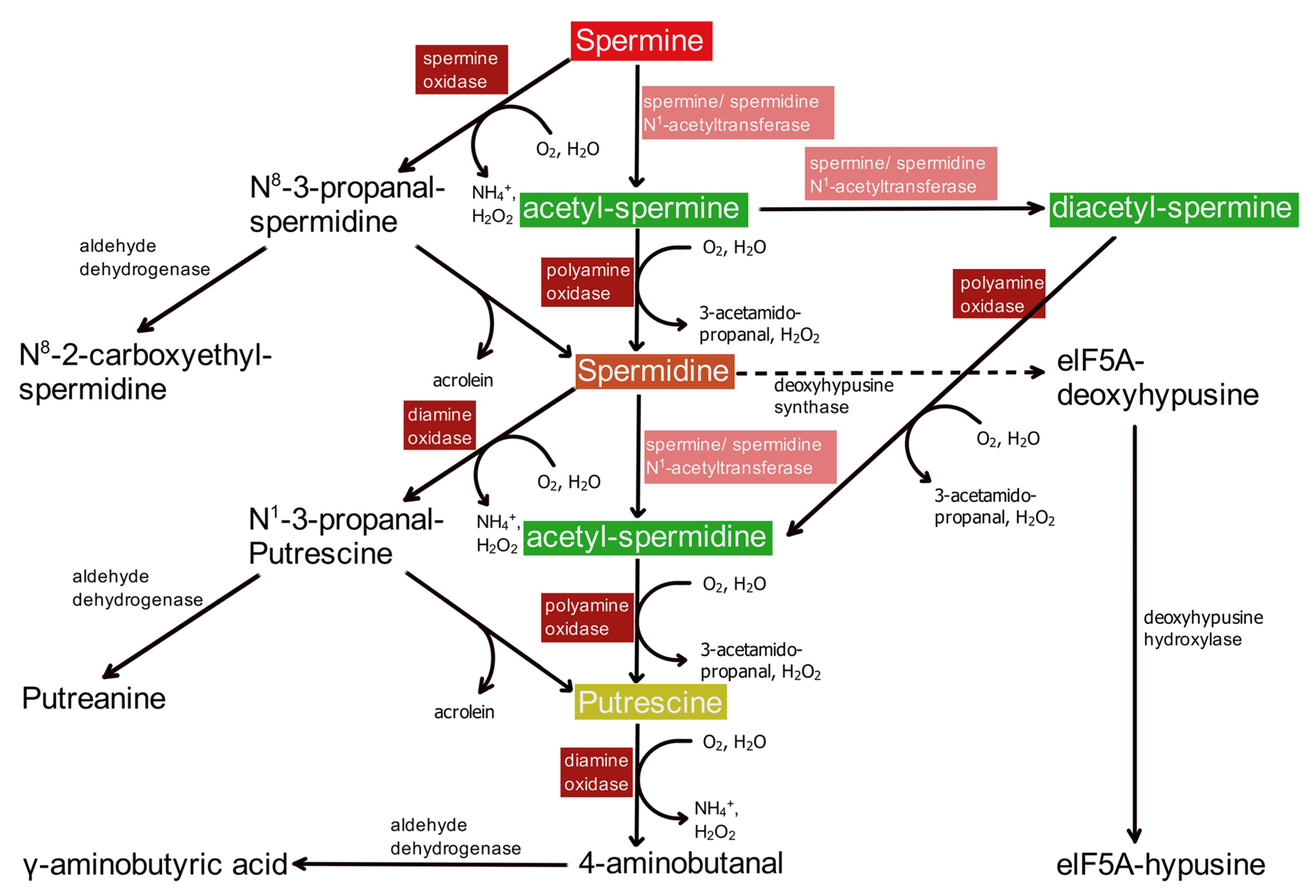 Biomolecules 12 00501 g003 550