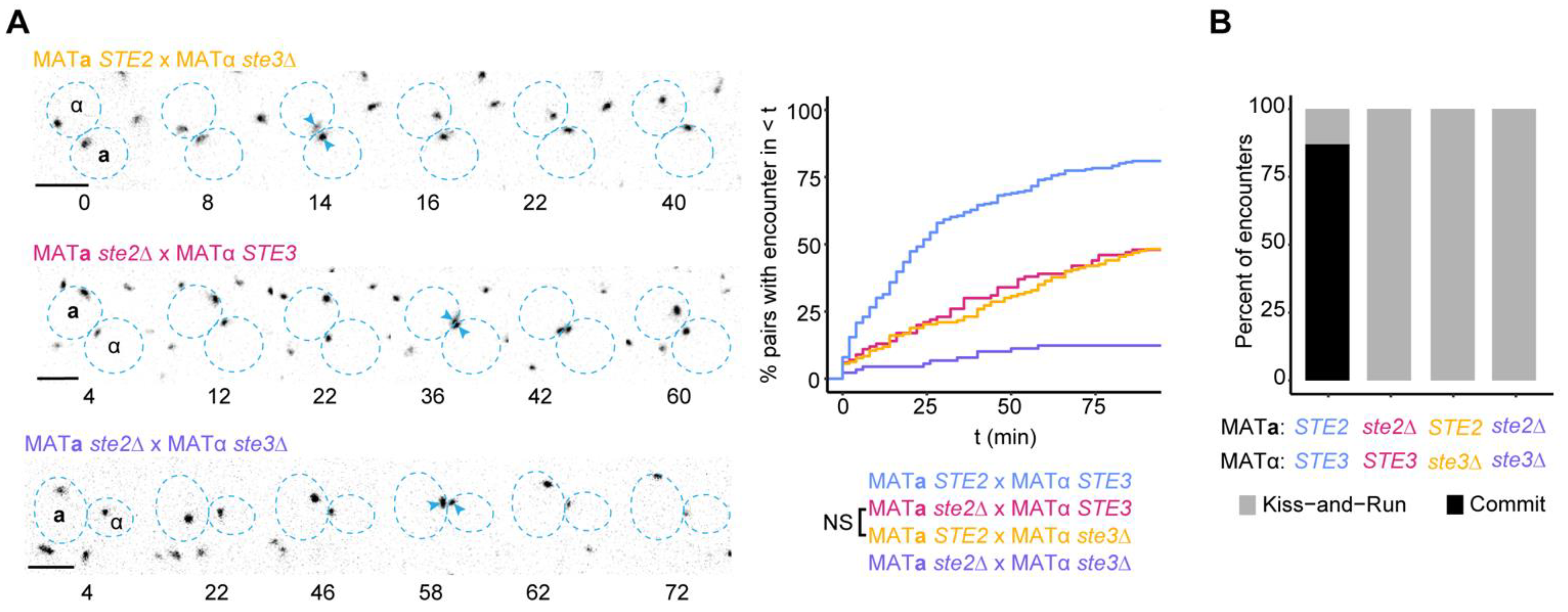 Biomolecules 12 00502 g003