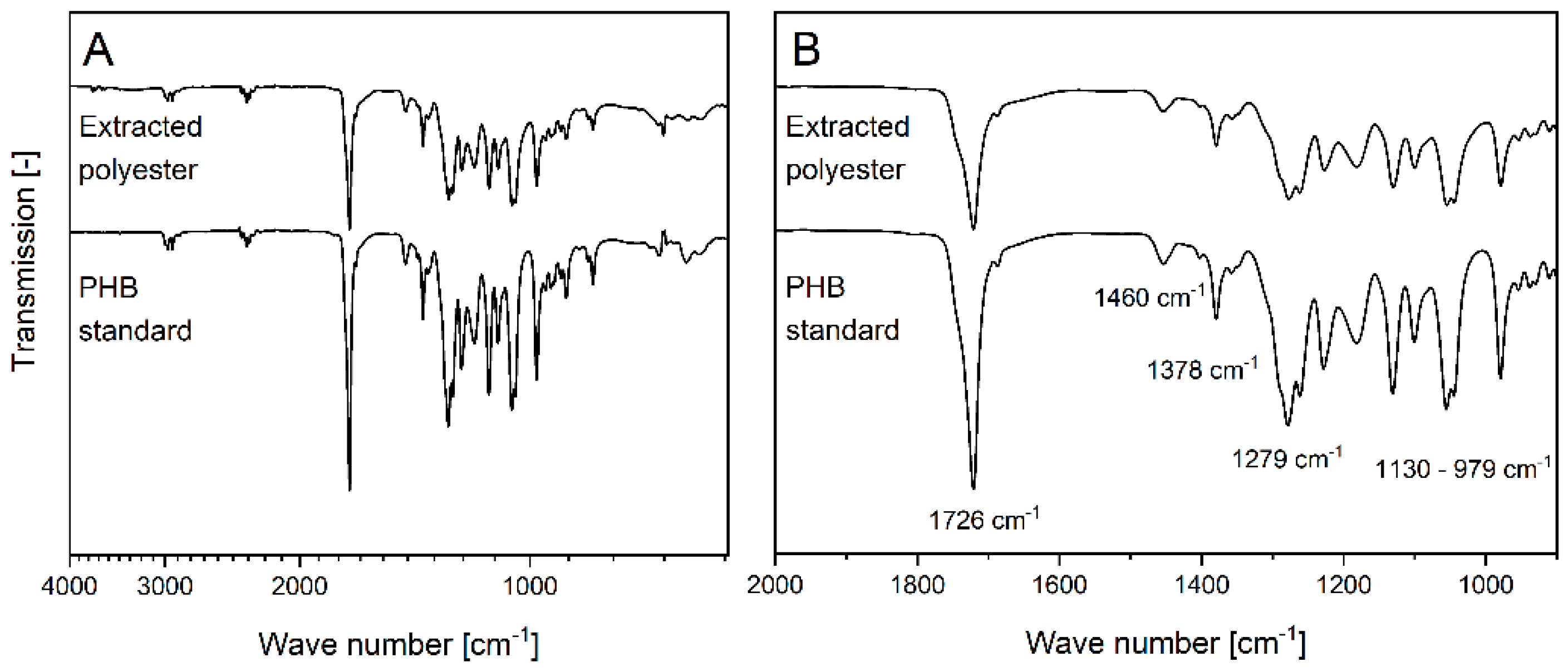 Biomolecules 12 00504 g004
