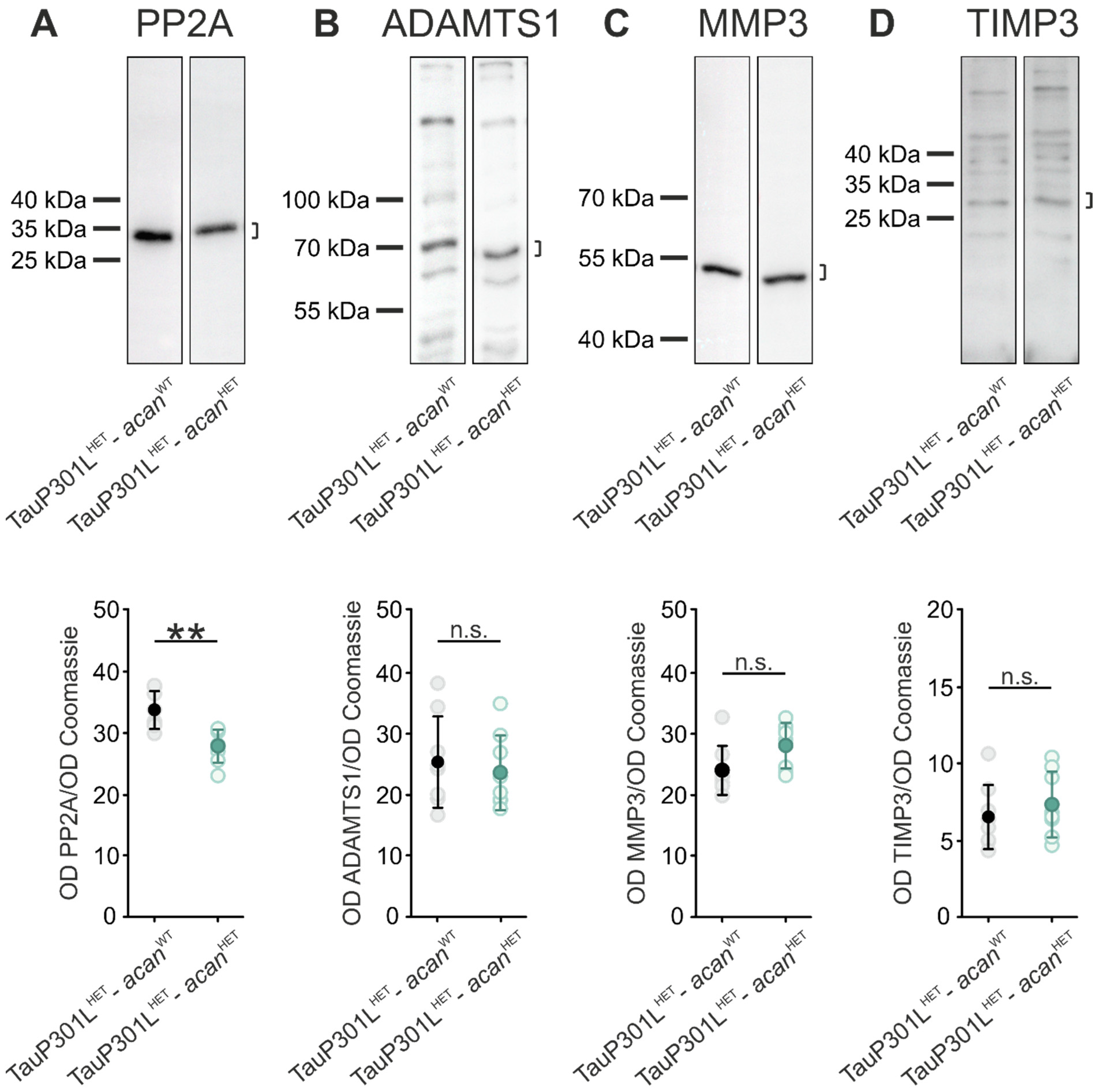 Biomolecules 12 00505 g005