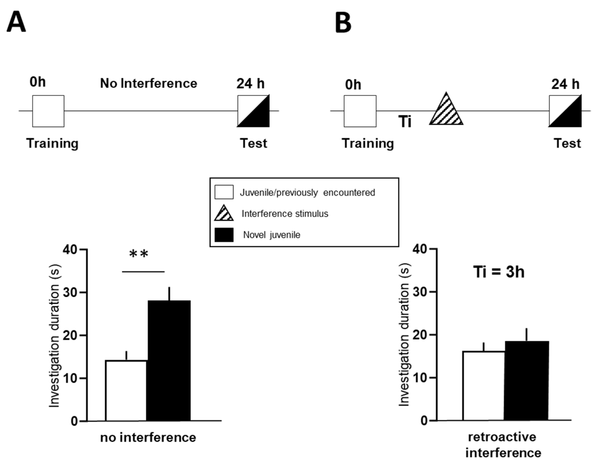Biomolecules 12 00506 g001 Biomolecules 12 00506 g001