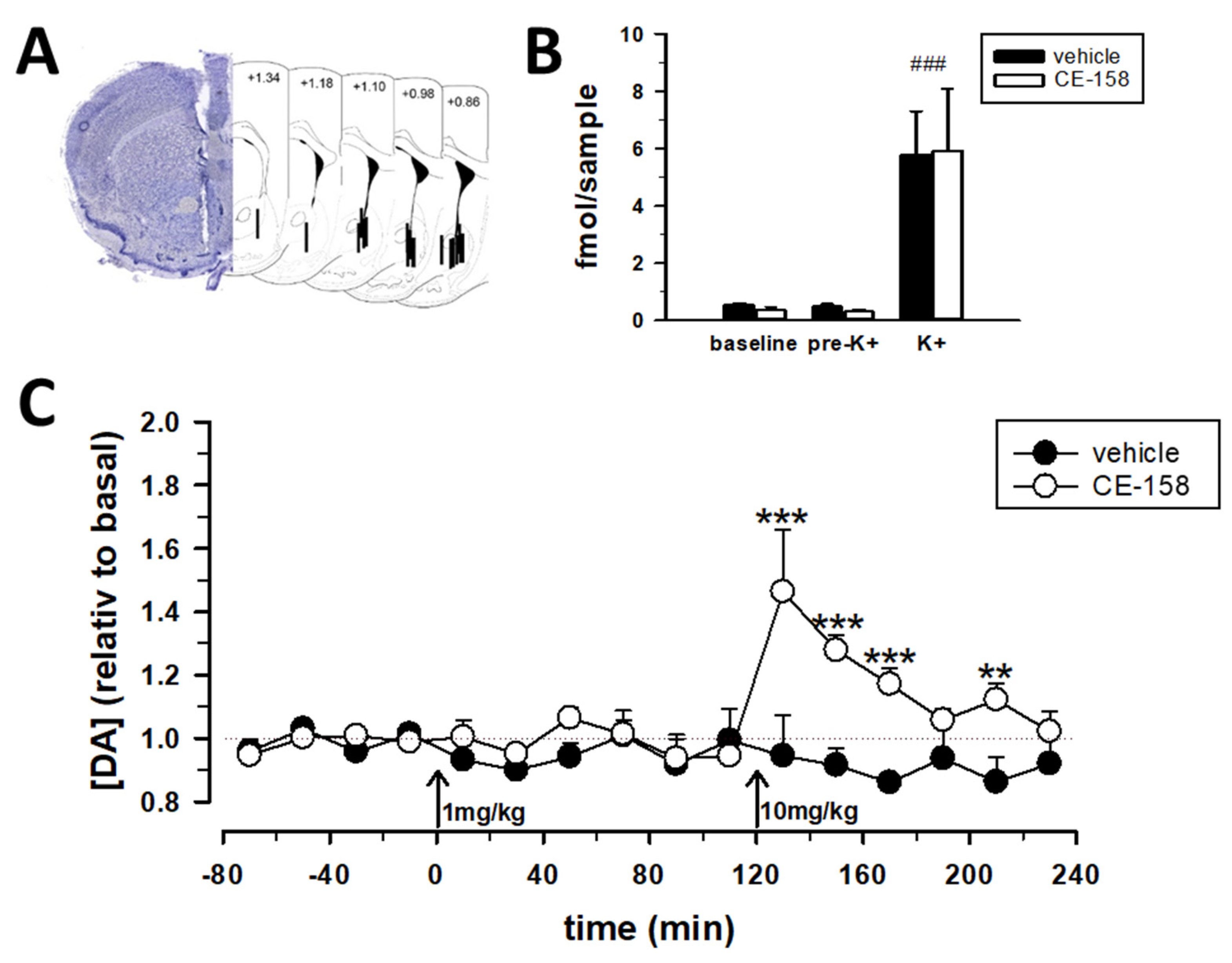 Biomolecules 12 00506 g004 Biomolecules 12 00506 g004