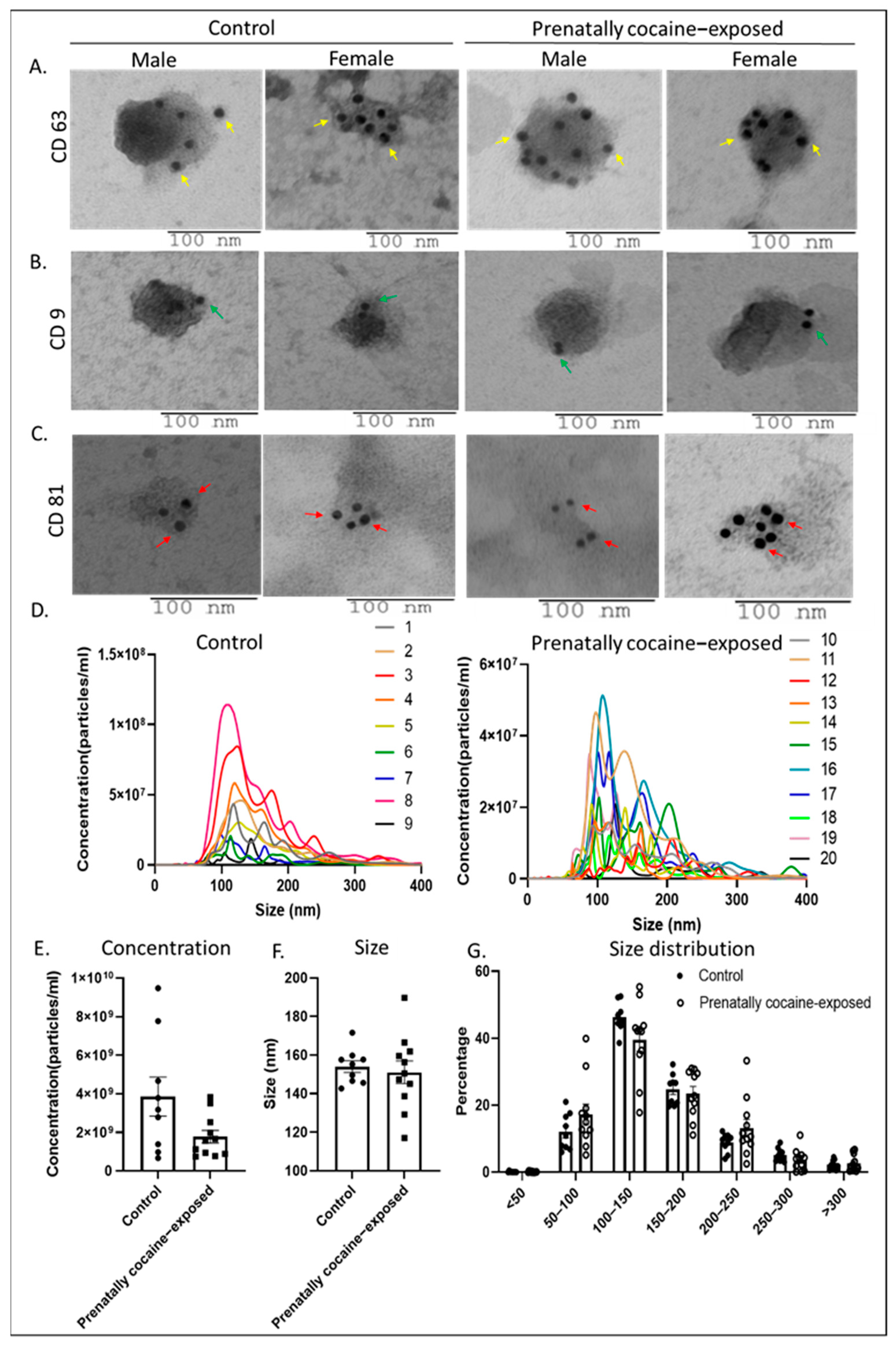 Biomolecules 12 00510 g001 550