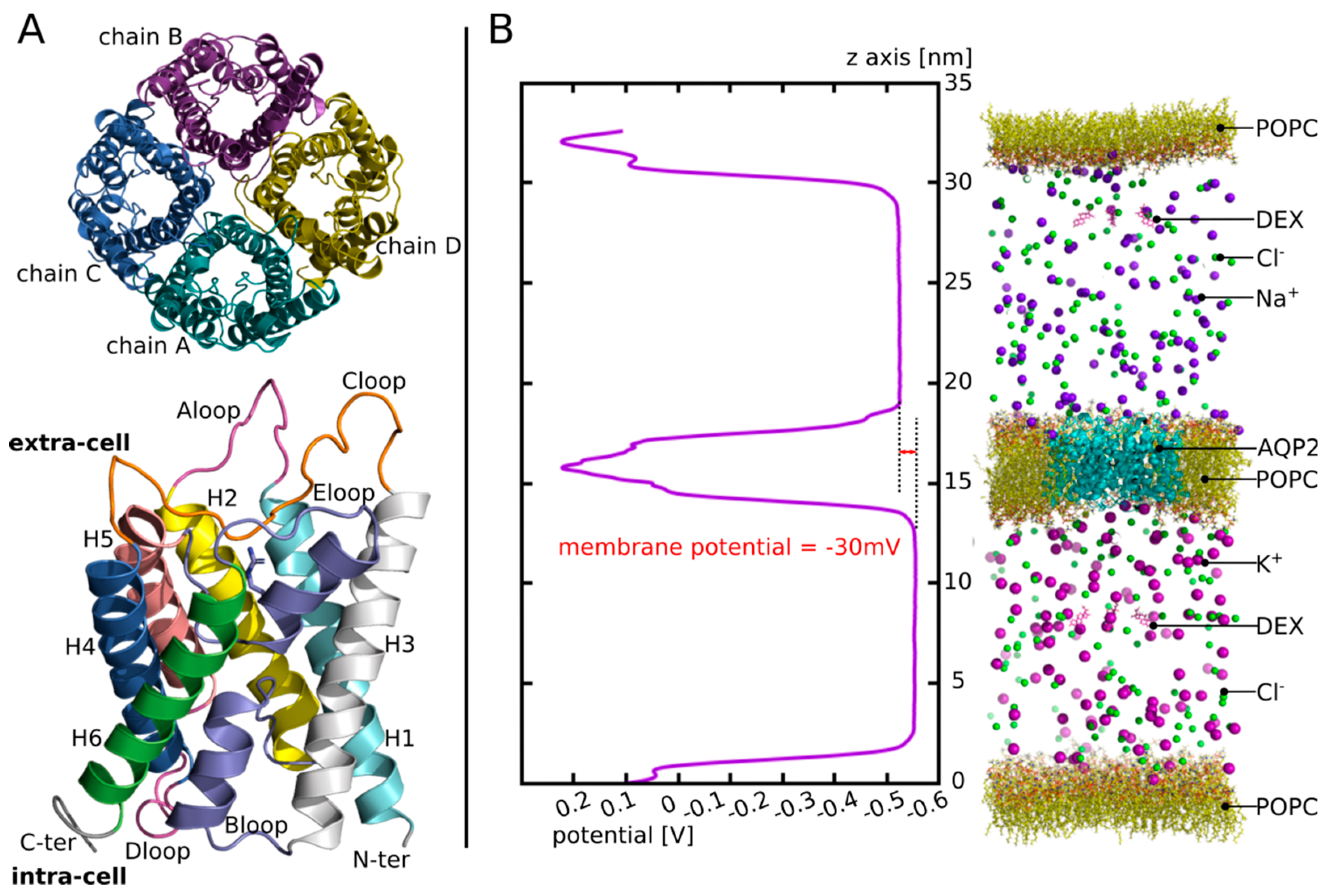 Biomolecules 12 00511 g001