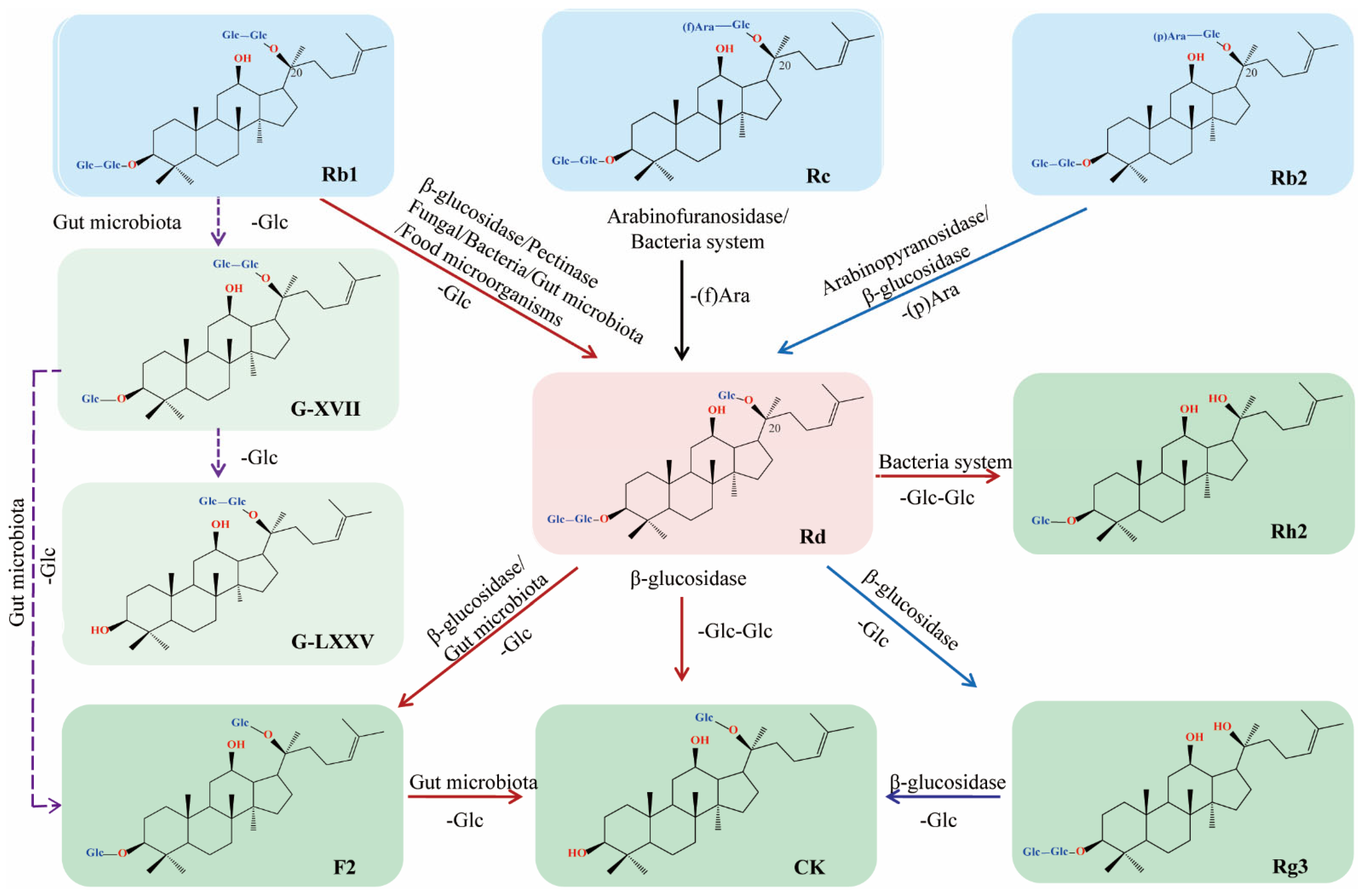 Biomolecules 12 00512 g001 Biomolecules 12 00512 g001