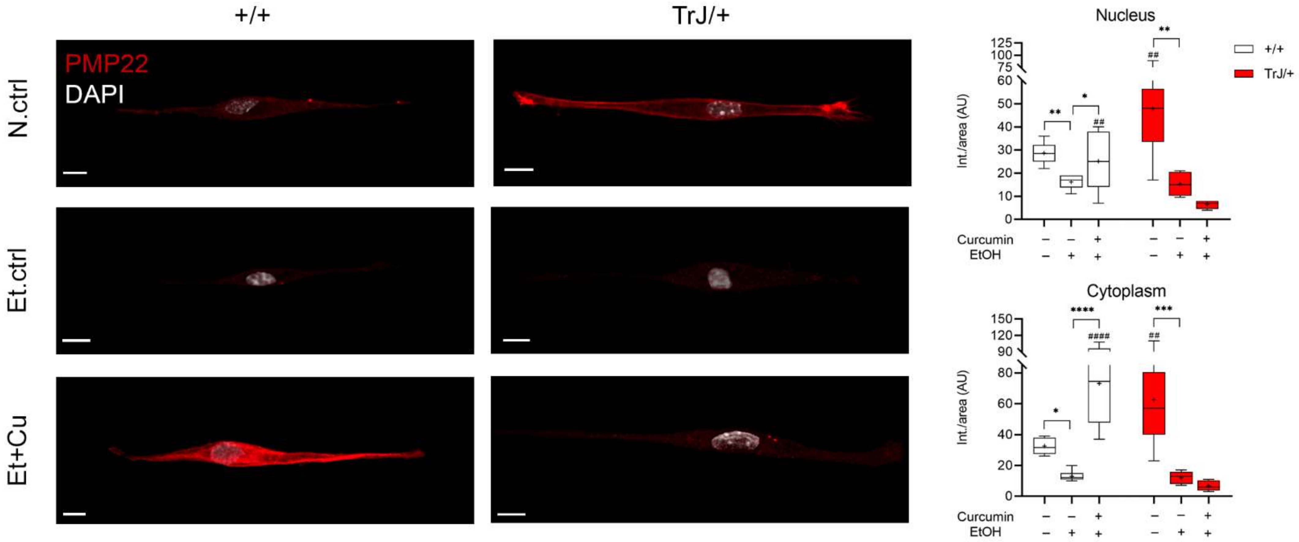 Biomolecules 12 00515 g004 Biomolecules 12 00515 g004