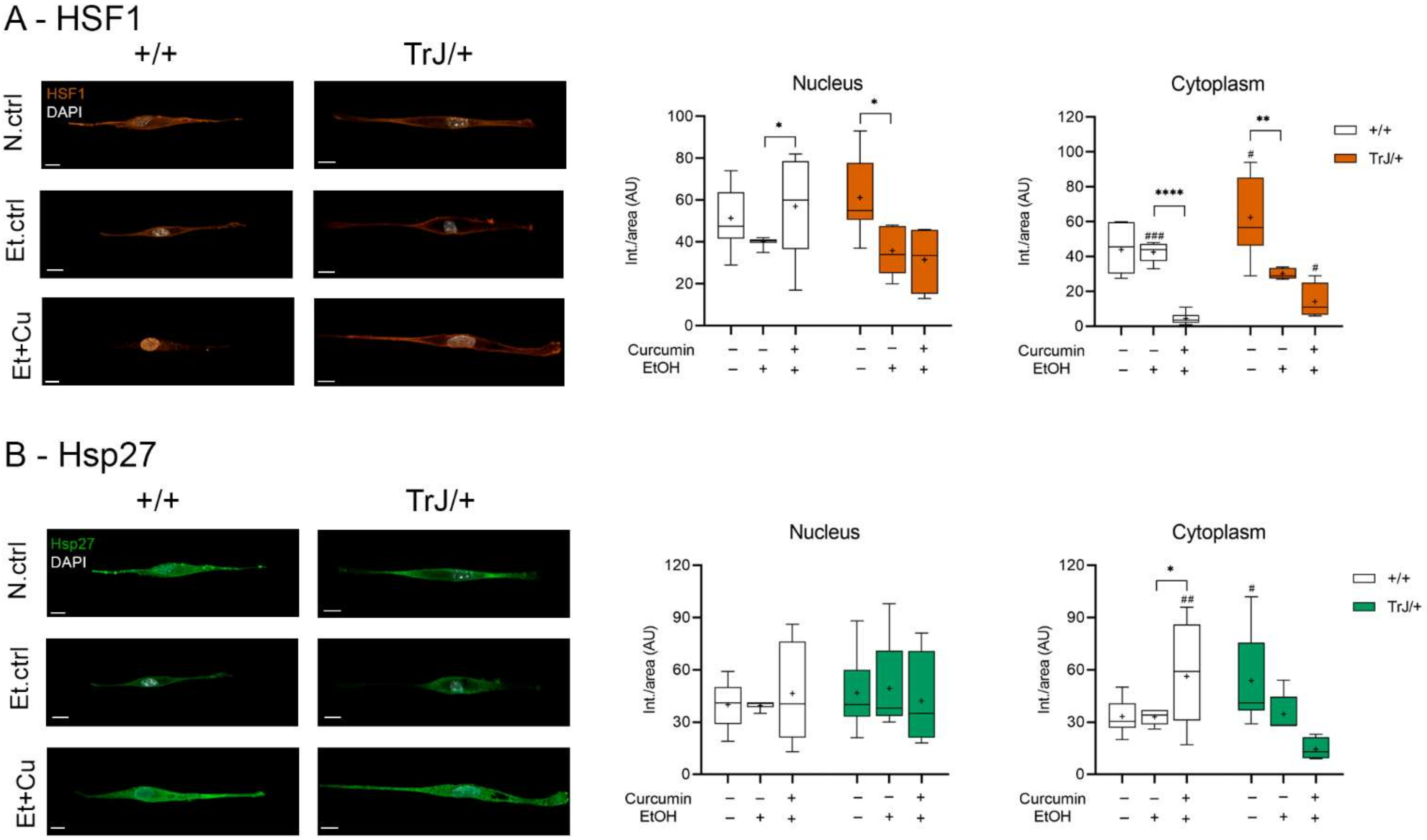 Biomolecules 12 00515 g005 Biomolecules 12 00515 g005