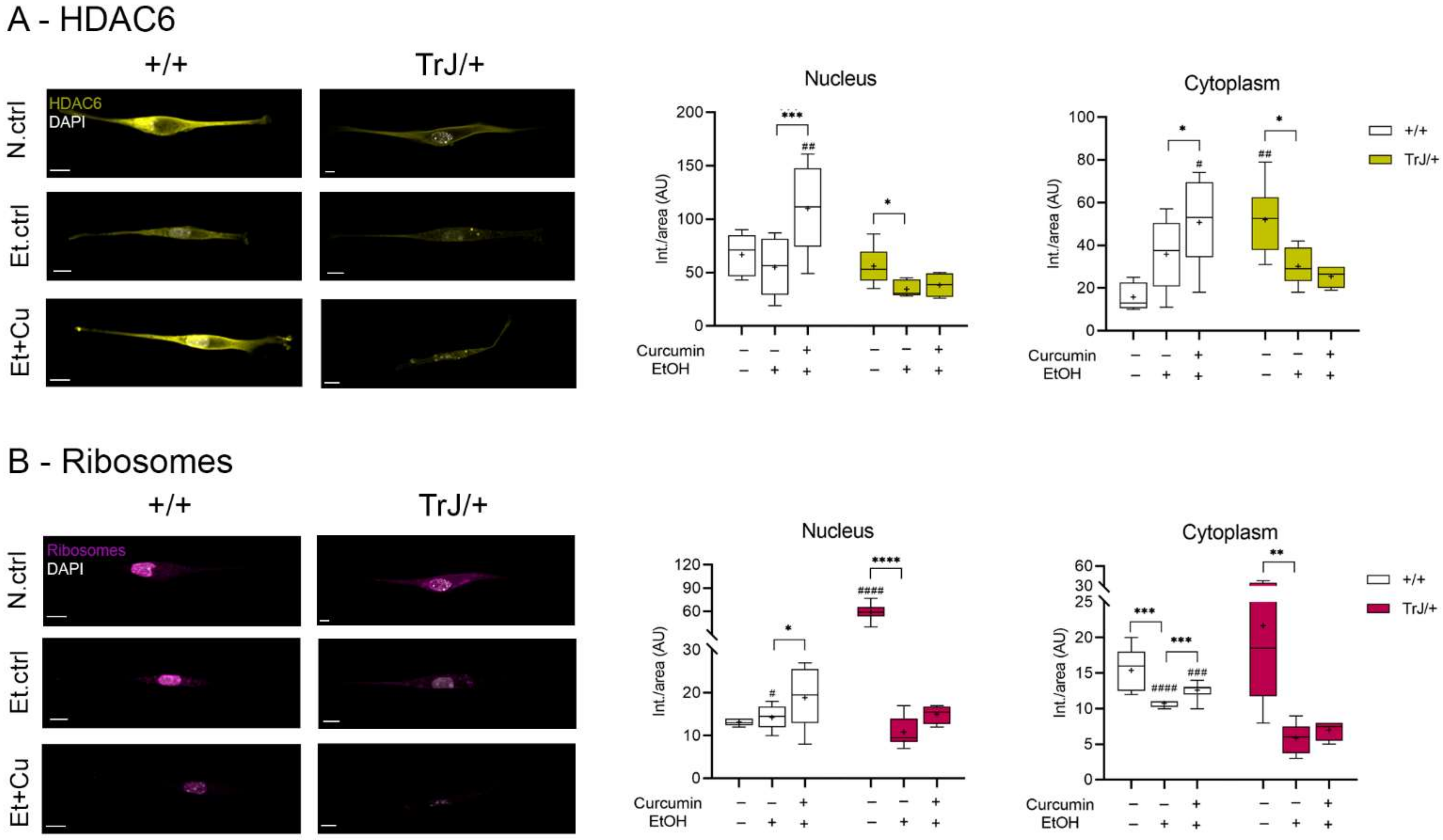 Biomolecules 12 00515 g006 Biomolecules 12 00515 g006